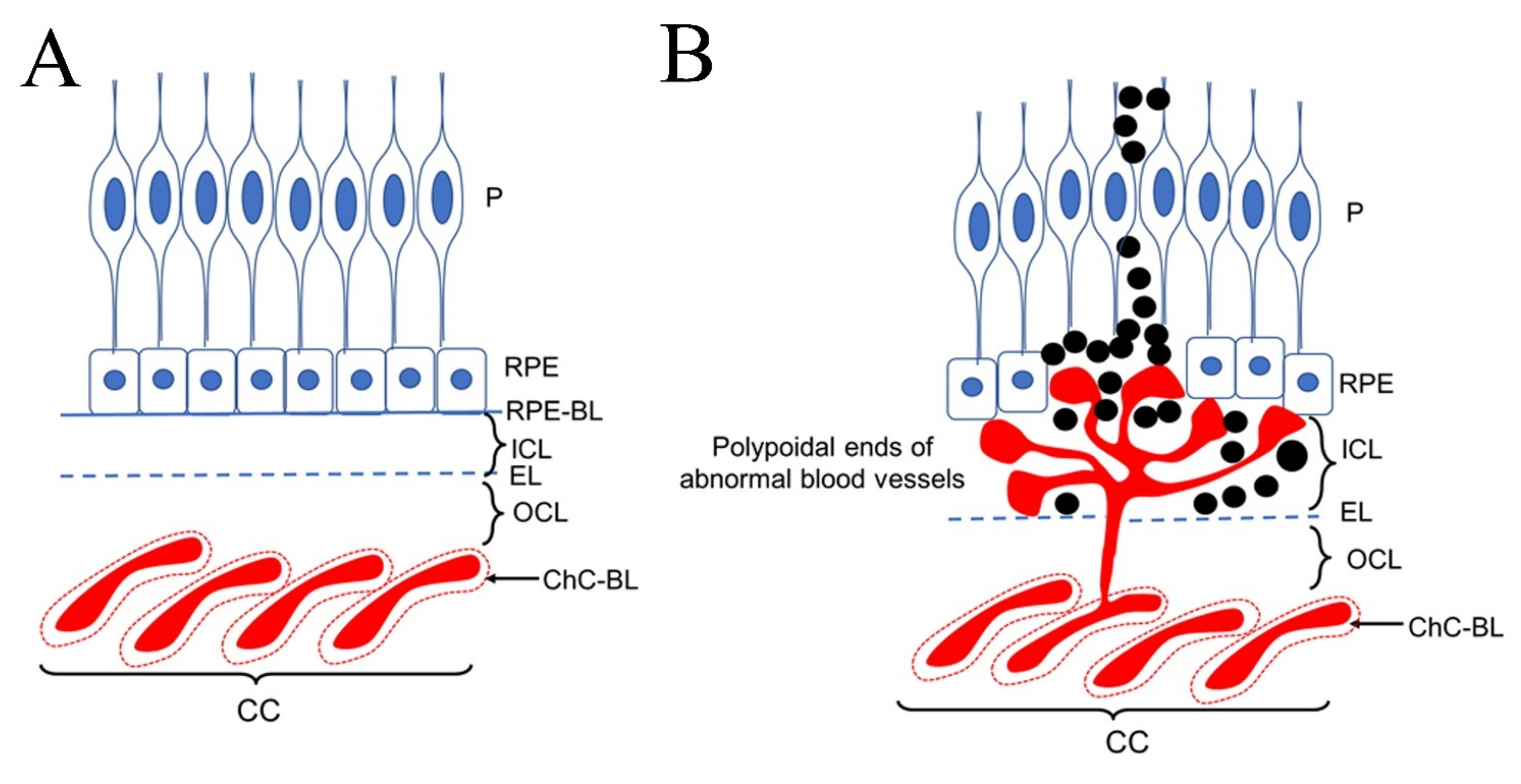 Pharmaceuticals 15 00101 g001