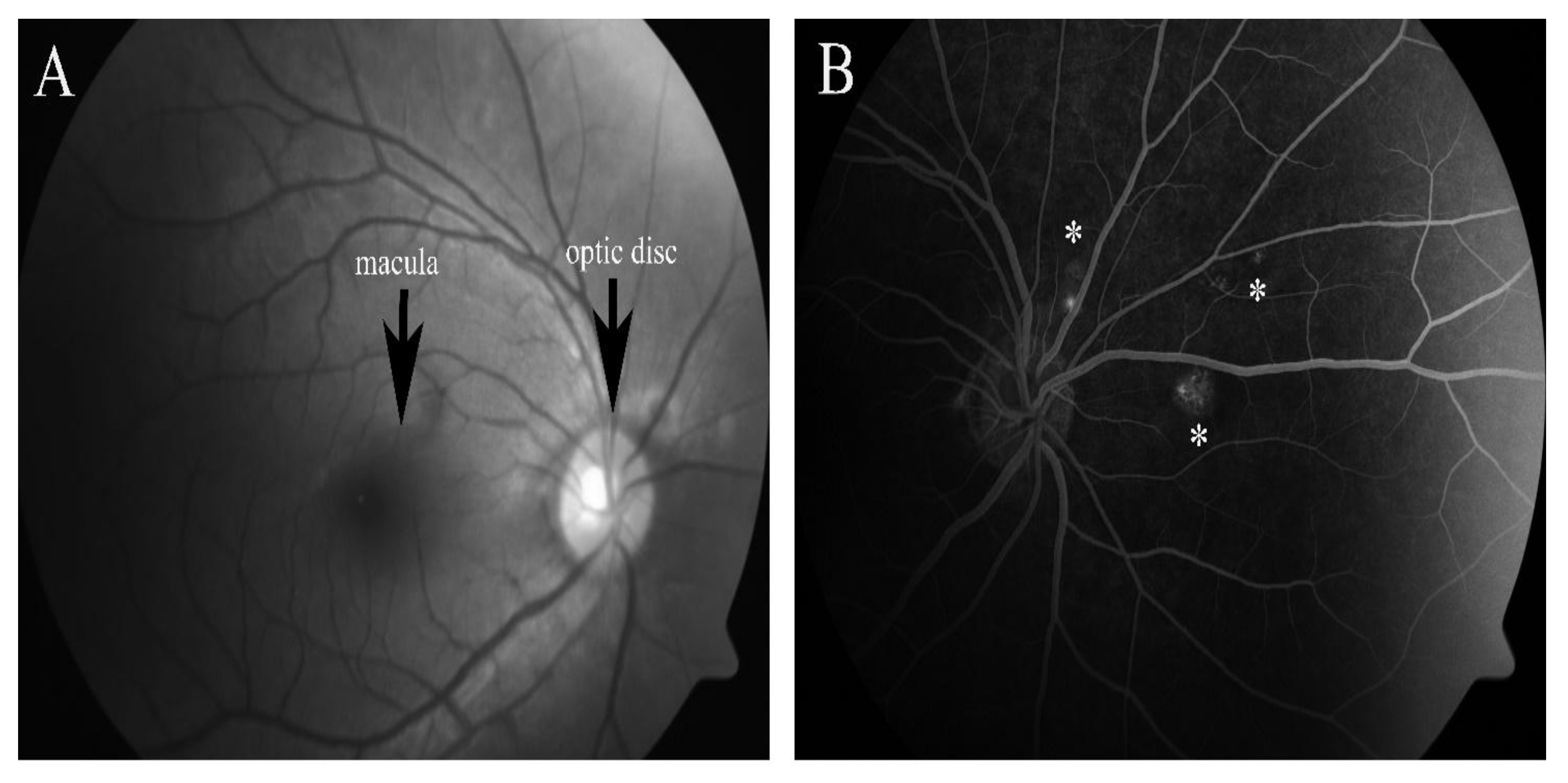 Pharmaceuticals 15 00101 g002
