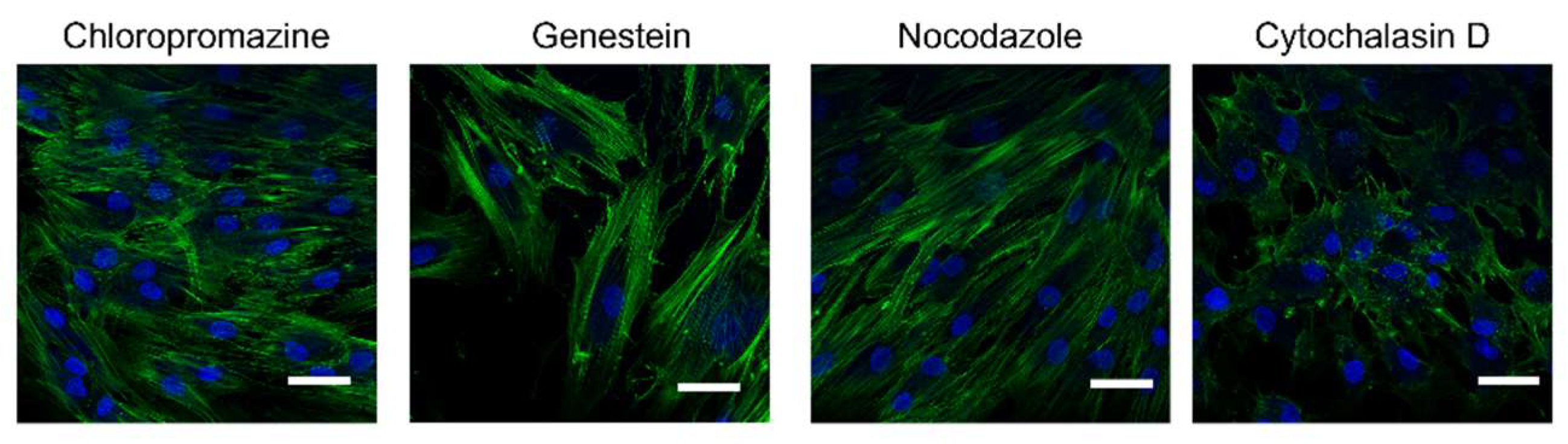 Pharmaceuticals 15 00103 g009 550