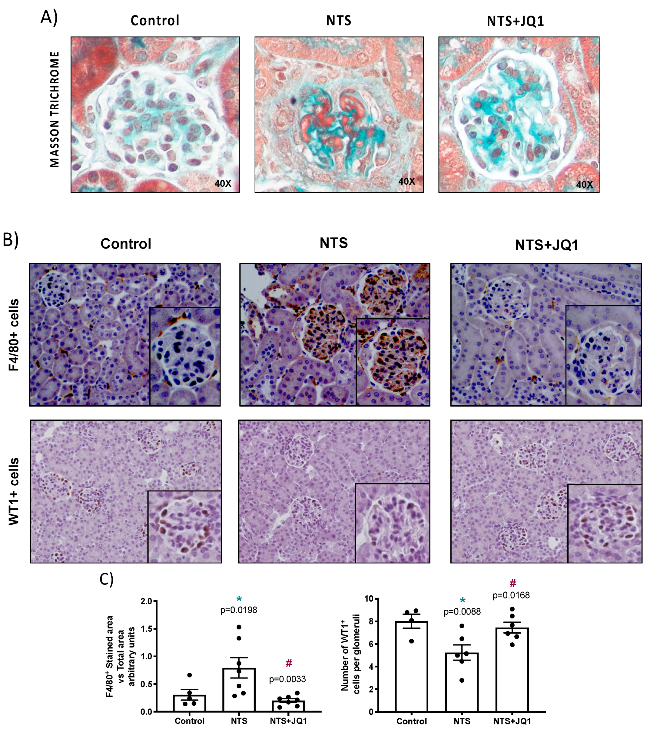 Pharmaceuticals 15 00121 g001 Pharmaceuticals 15 00121 g001