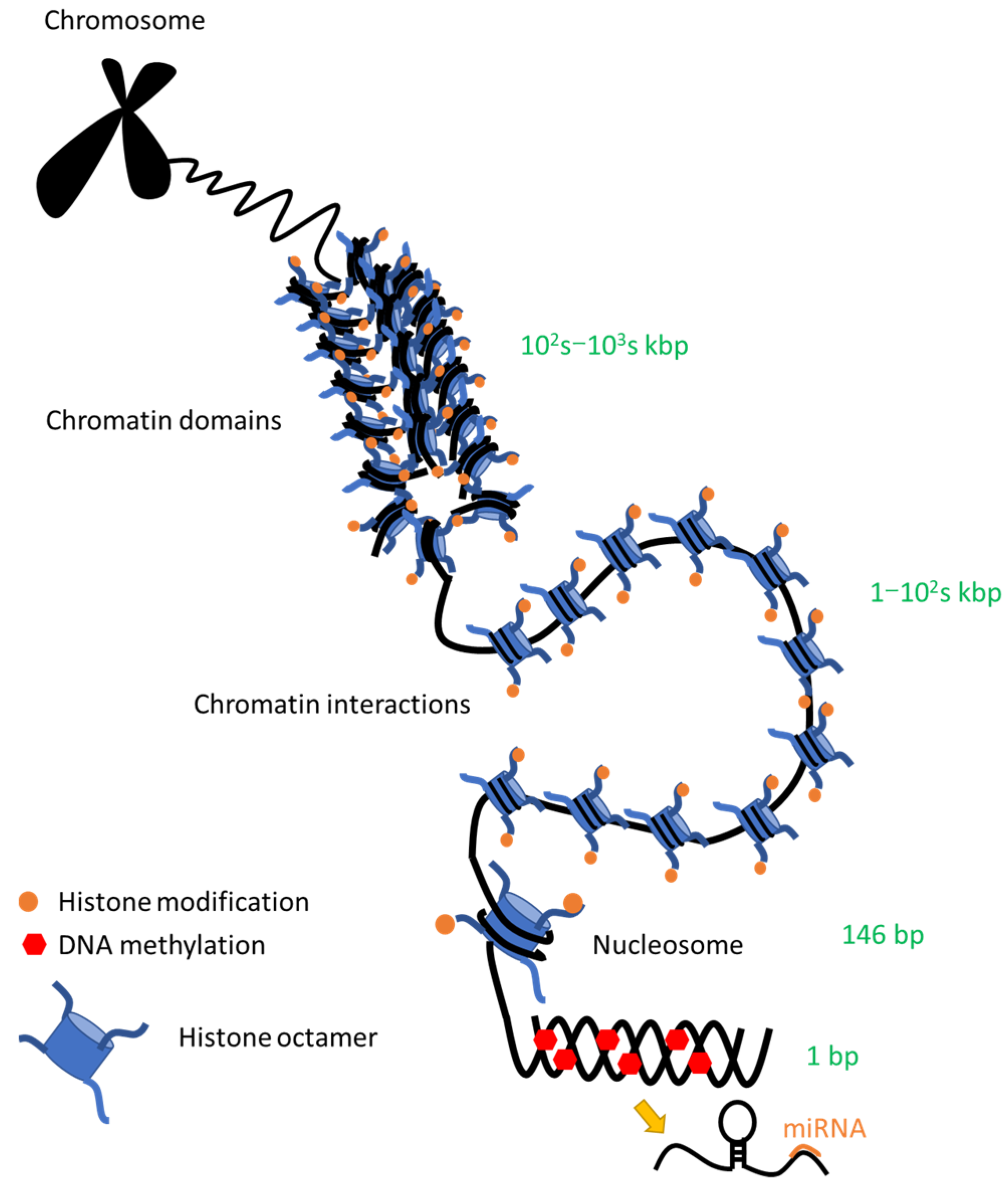 Pharmaceuticals 15 00123 g002 Pharmaceuticals 15 00123 g002