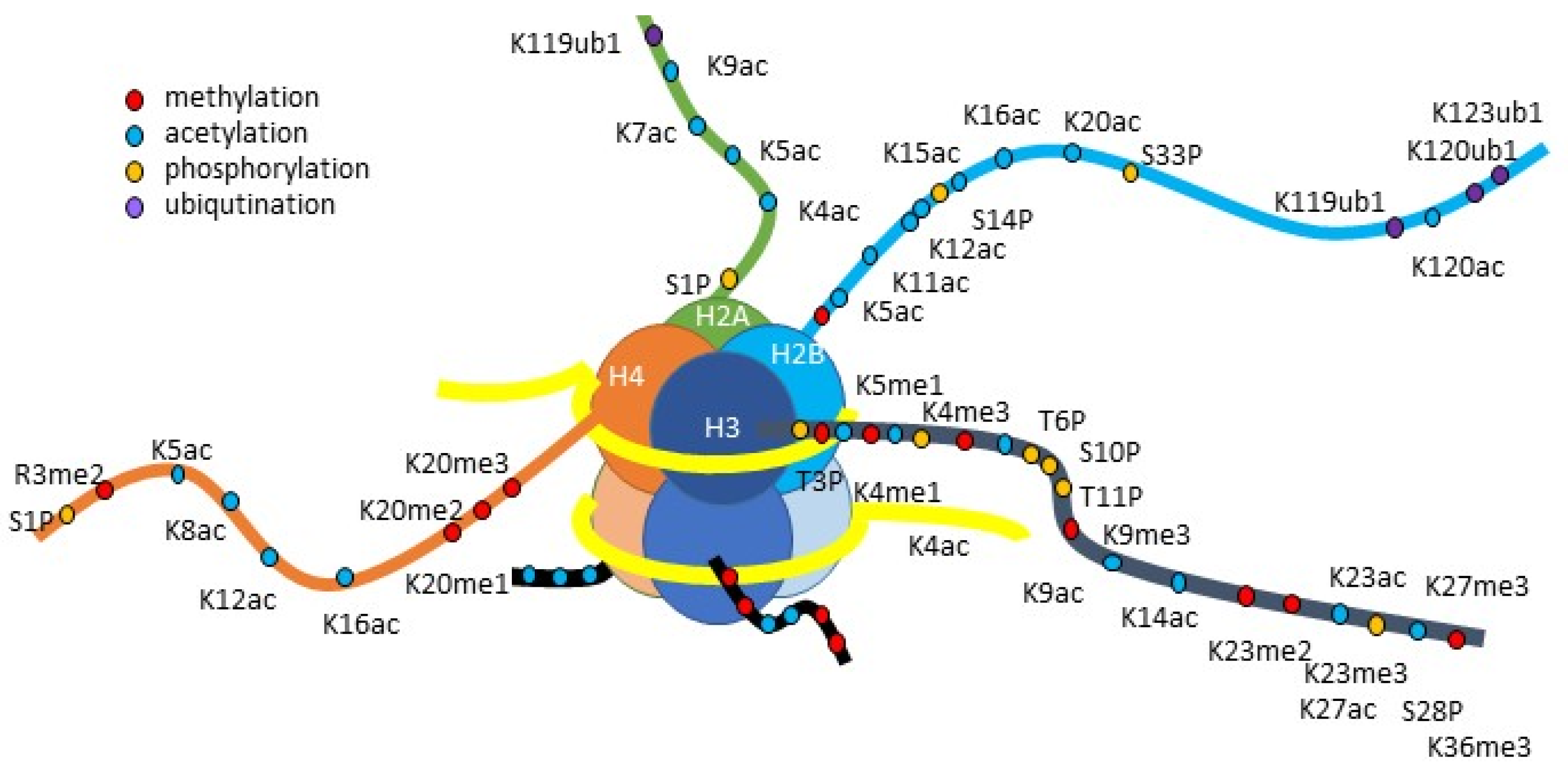 Pharmaceuticals 15 00123 g003 Pharmaceuticals 15 00123 g003