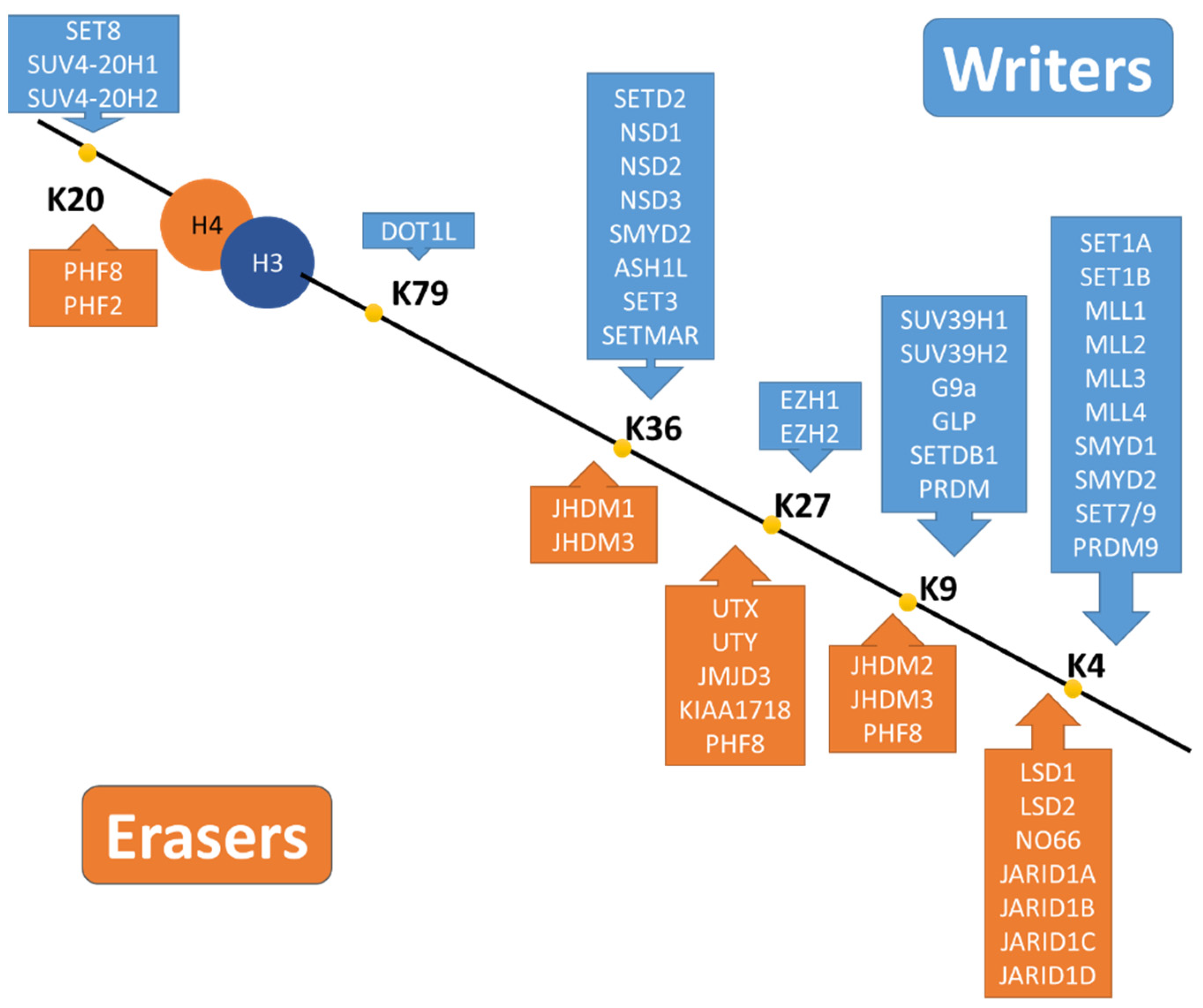 Pharmaceuticals 15 00123 g004 Pharmaceuticals 15 00123 g004