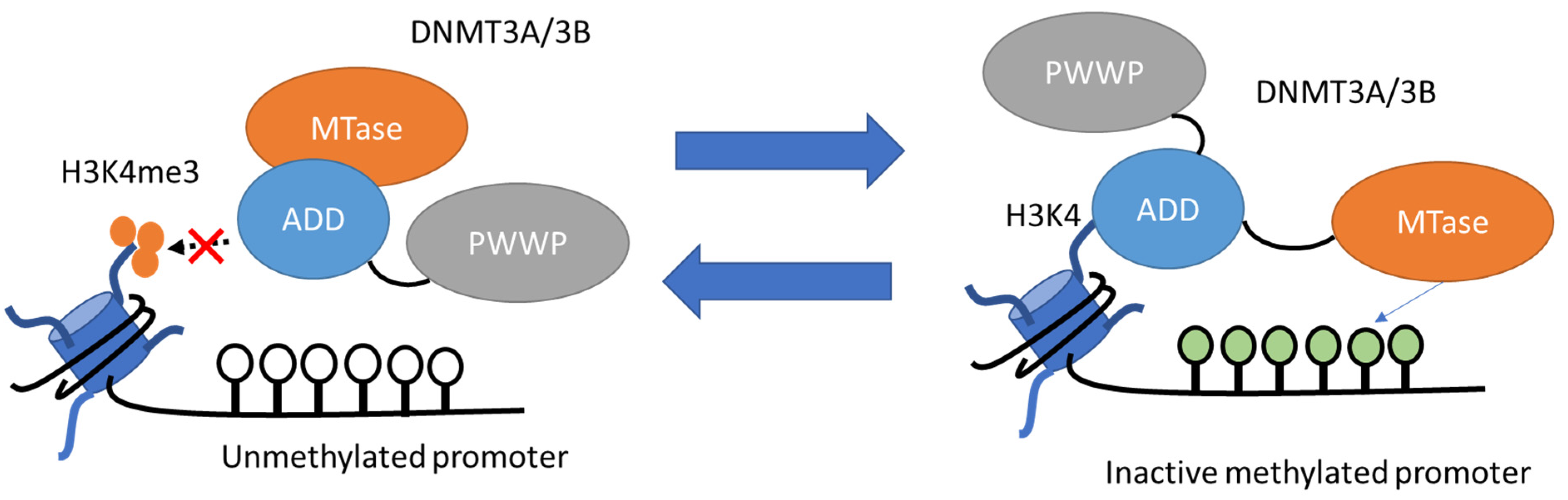 Pharmaceuticals 15 00123 g005 Pharmaceuticals 15 00123 g005