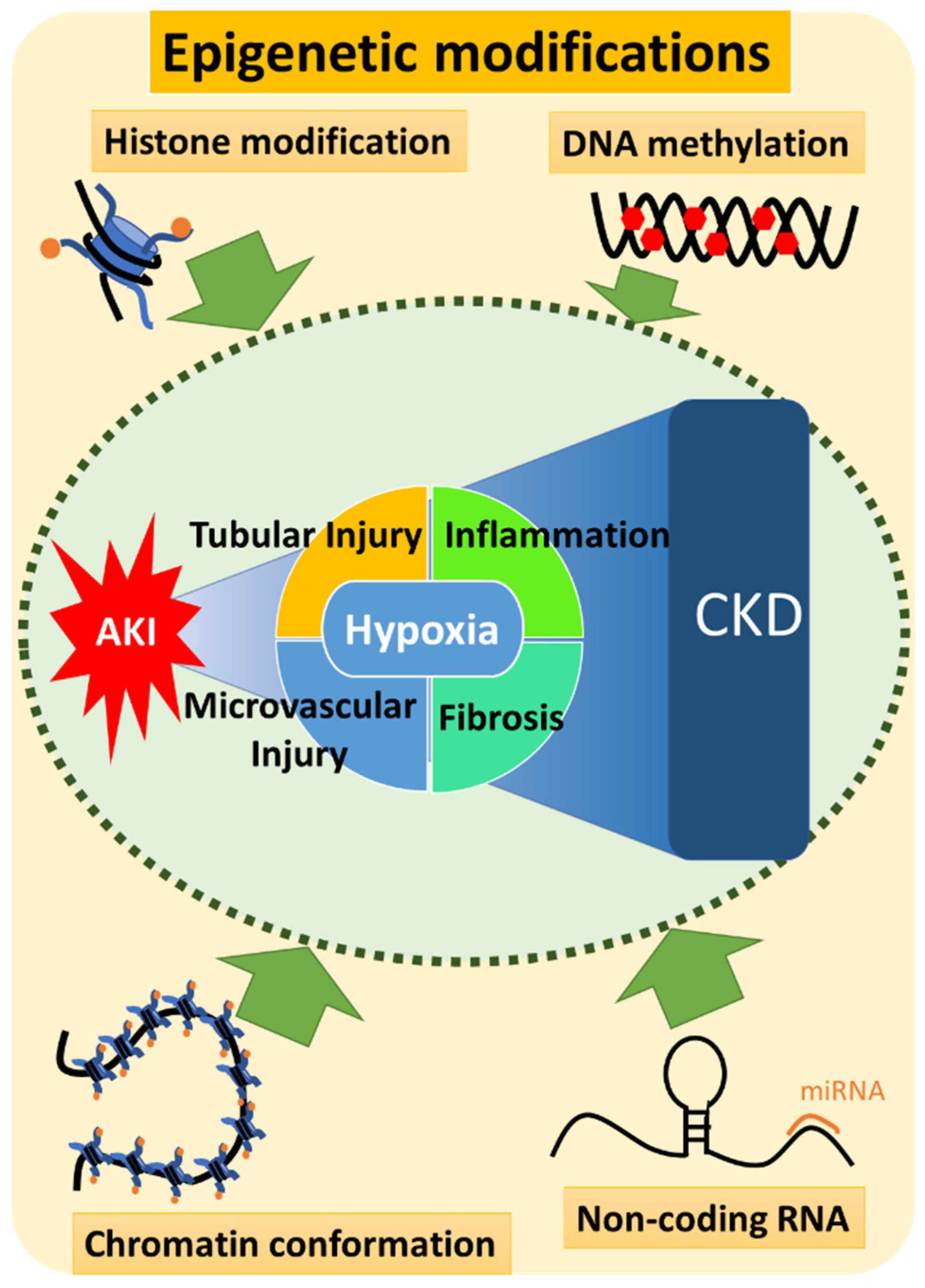 Pharmaceuticals 15 00123 g006 Pharmaceuticals 15 00123 g006