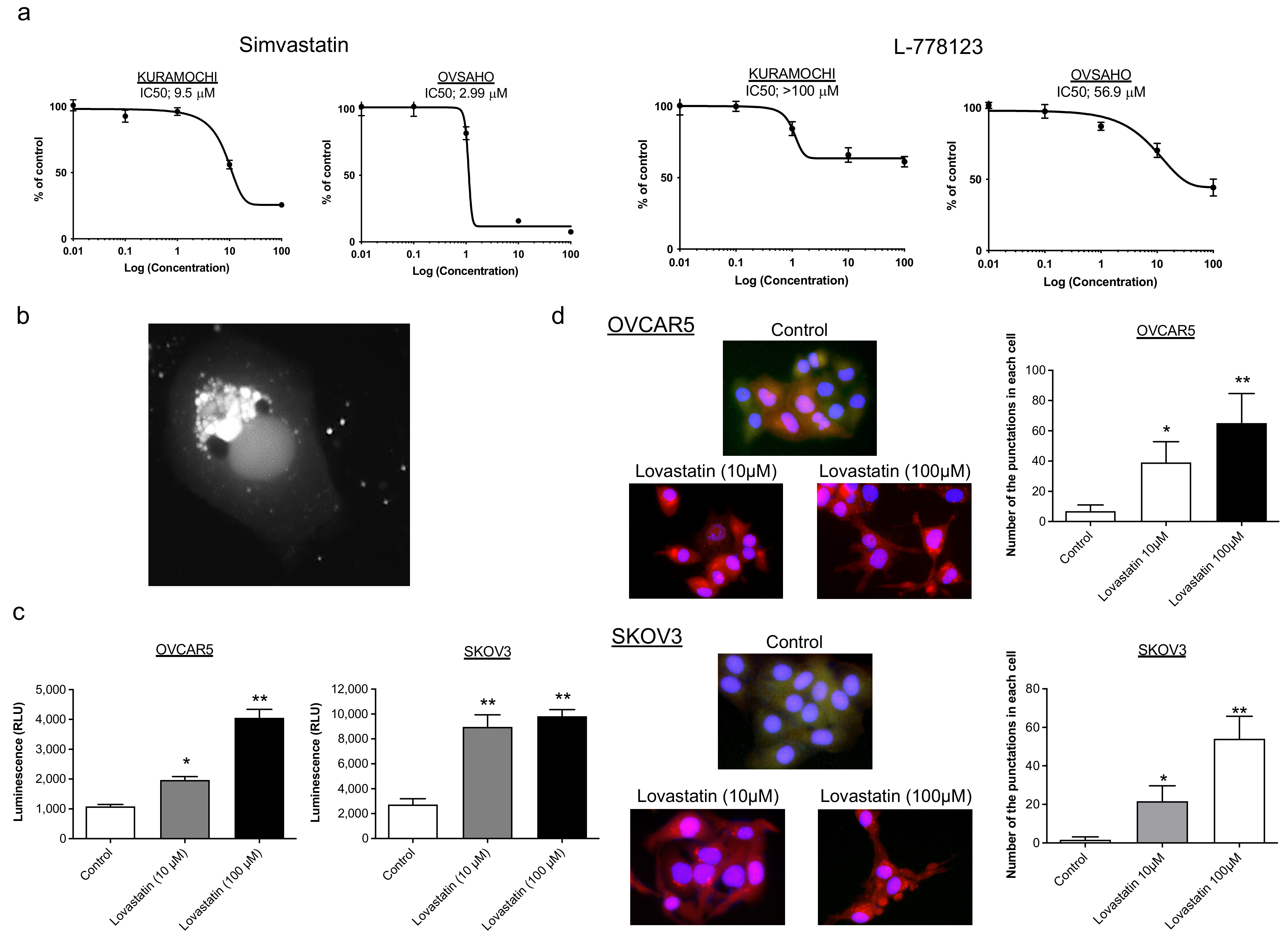 Pharmaceuticals 15 00124 g001 550