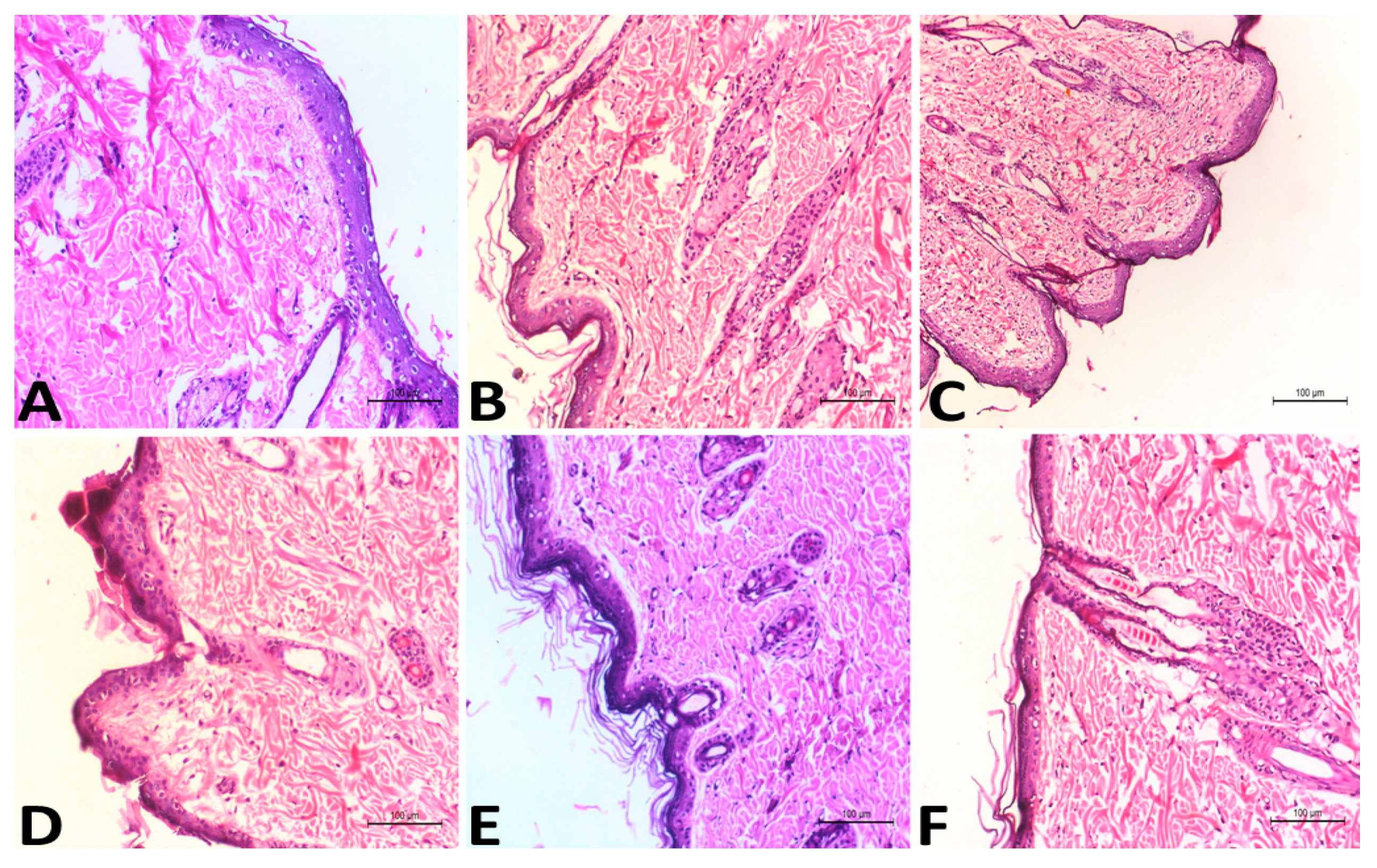 Pharmaceuticals 15 00126 g005