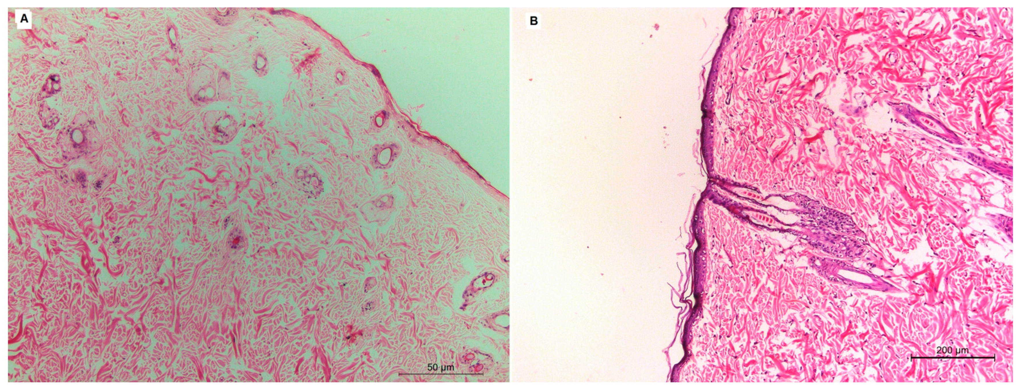 Pharmaceuticals 15 00126 g006