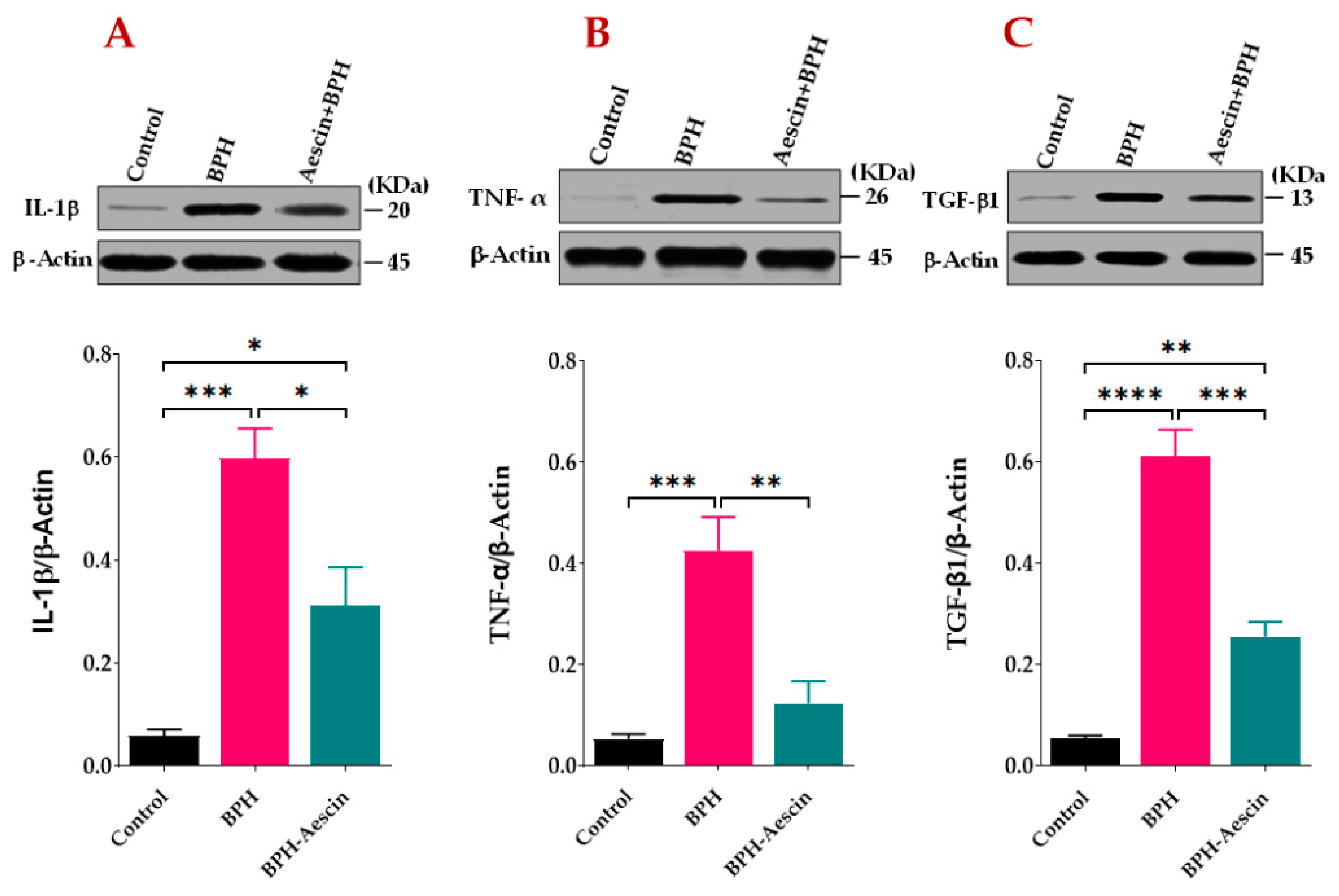 Pharmaceuticals 15 00130 g005