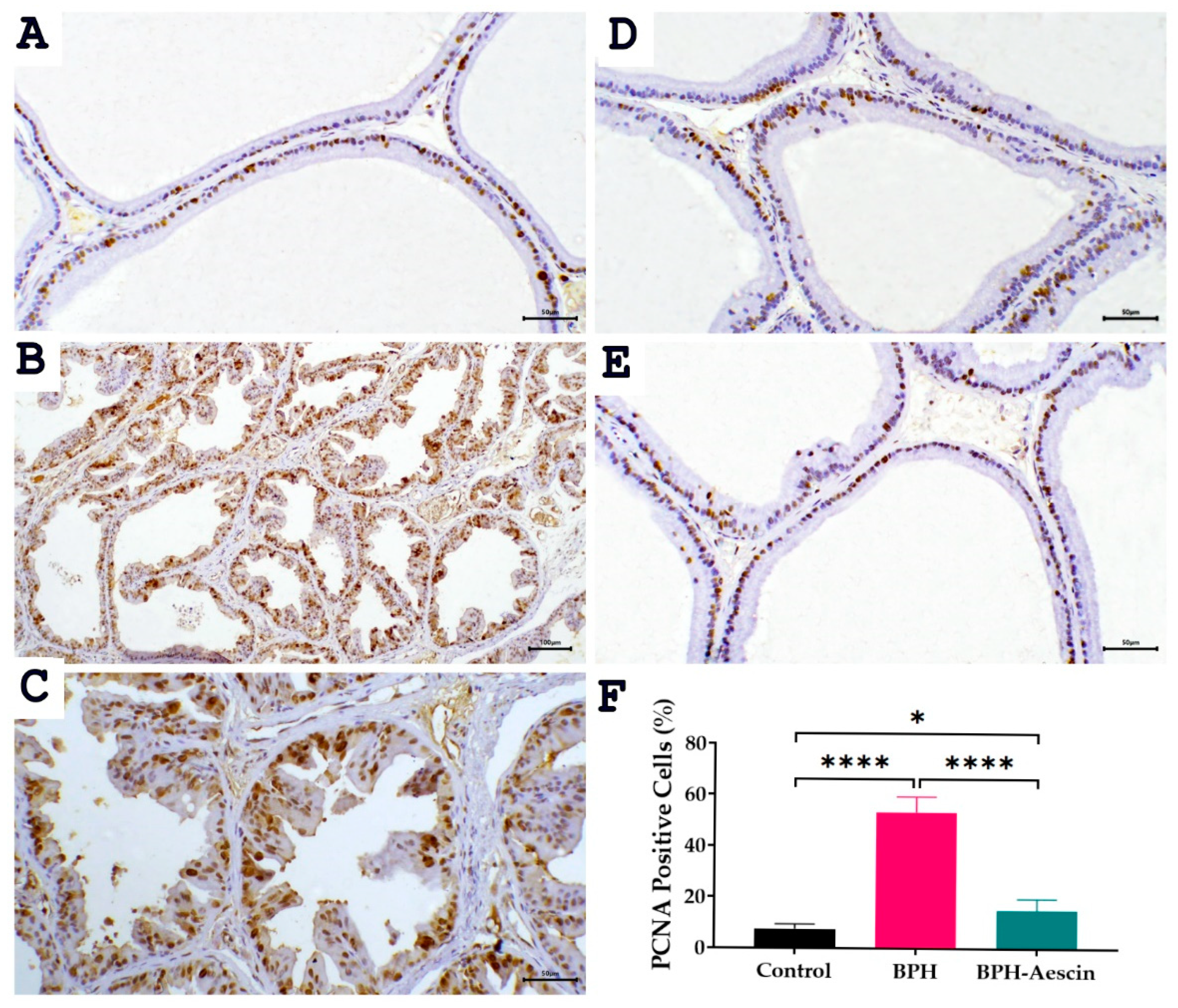 Pharmaceuticals 15 00130 g006