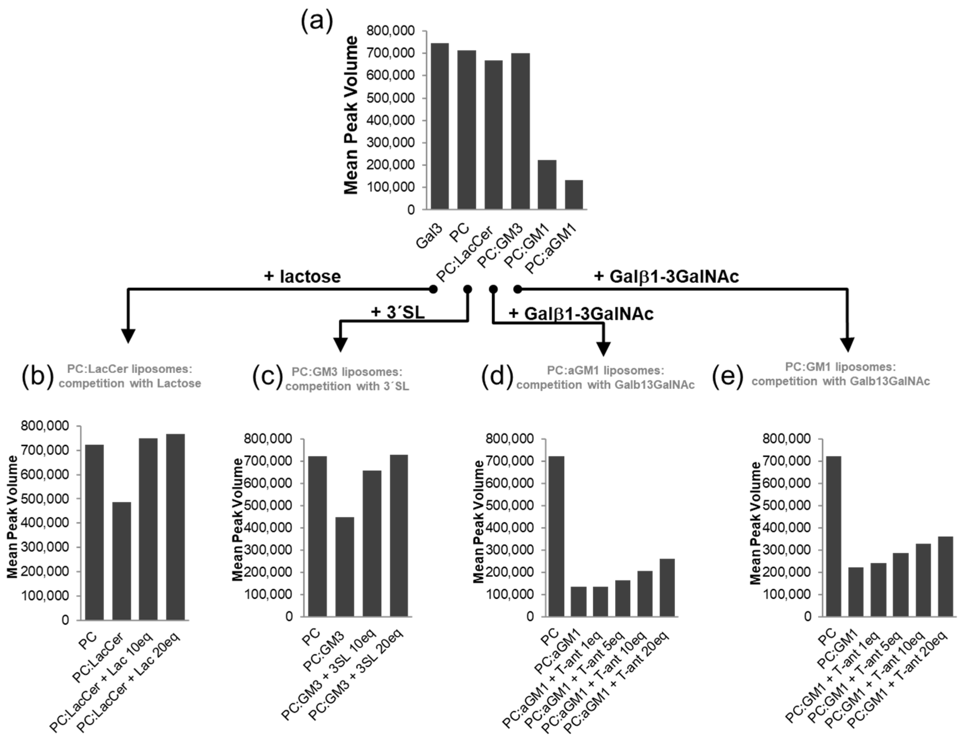 Pharmaceuticals 15 00145 g004