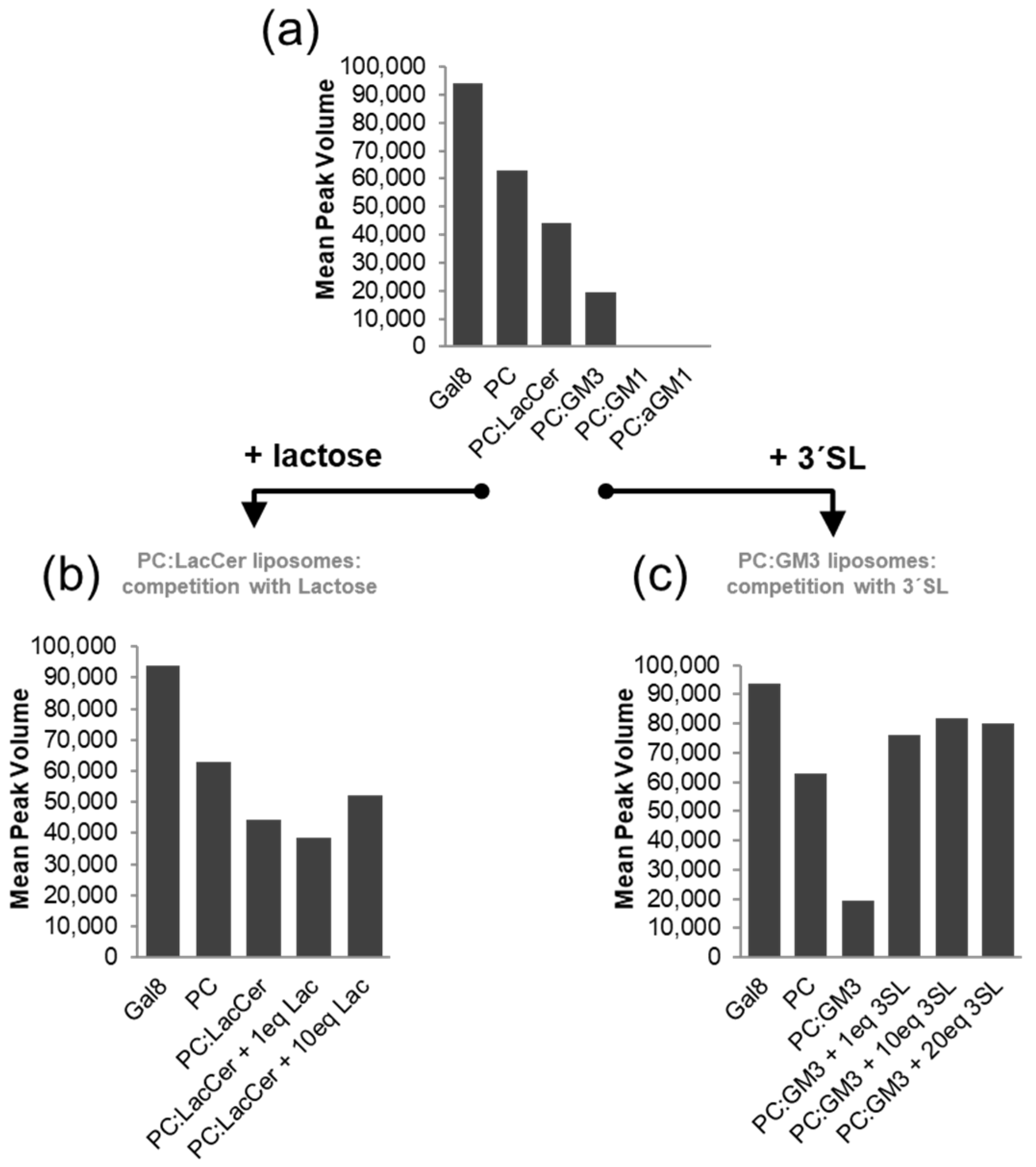 Pharmaceuticals 15 00145 g005