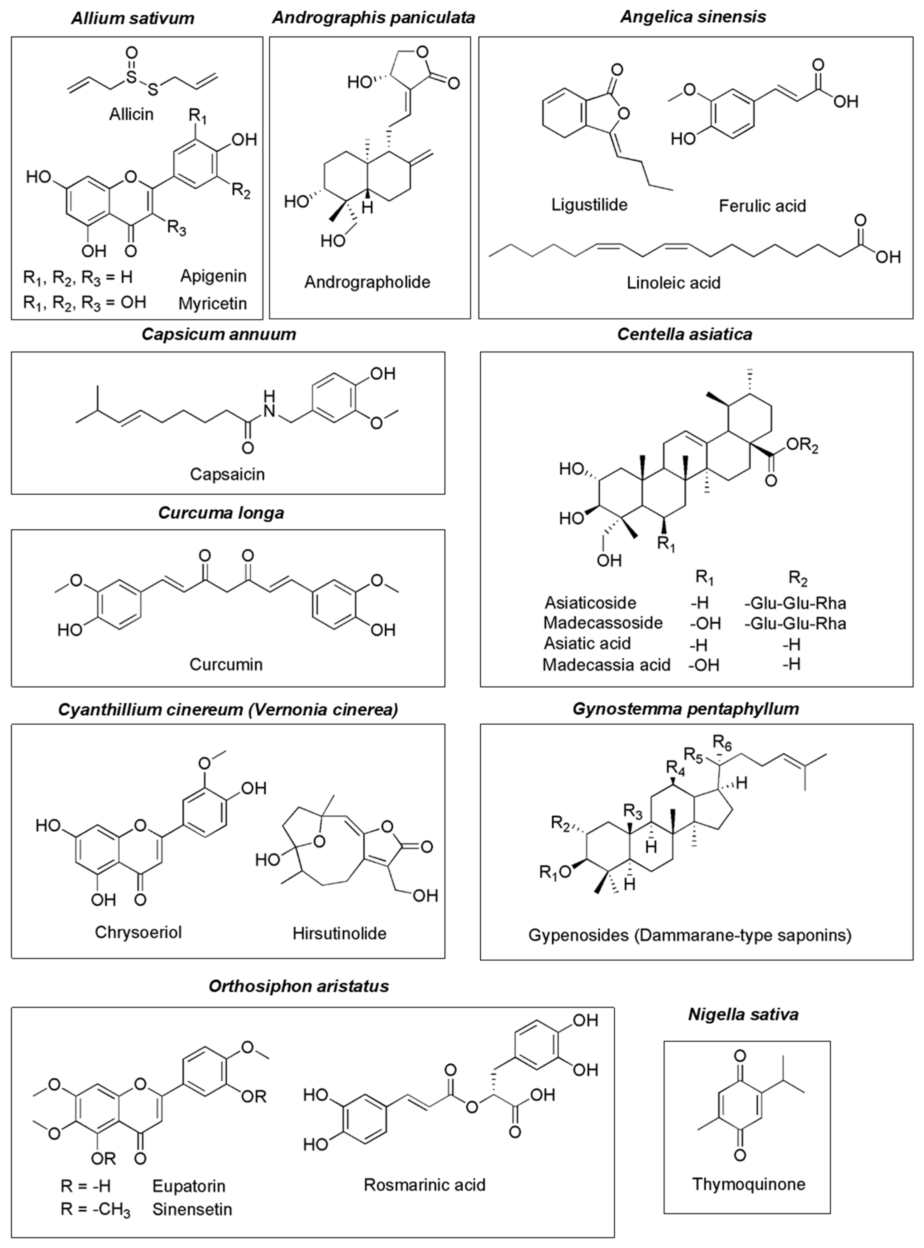 Pharmaceuticals 15 00146 g004