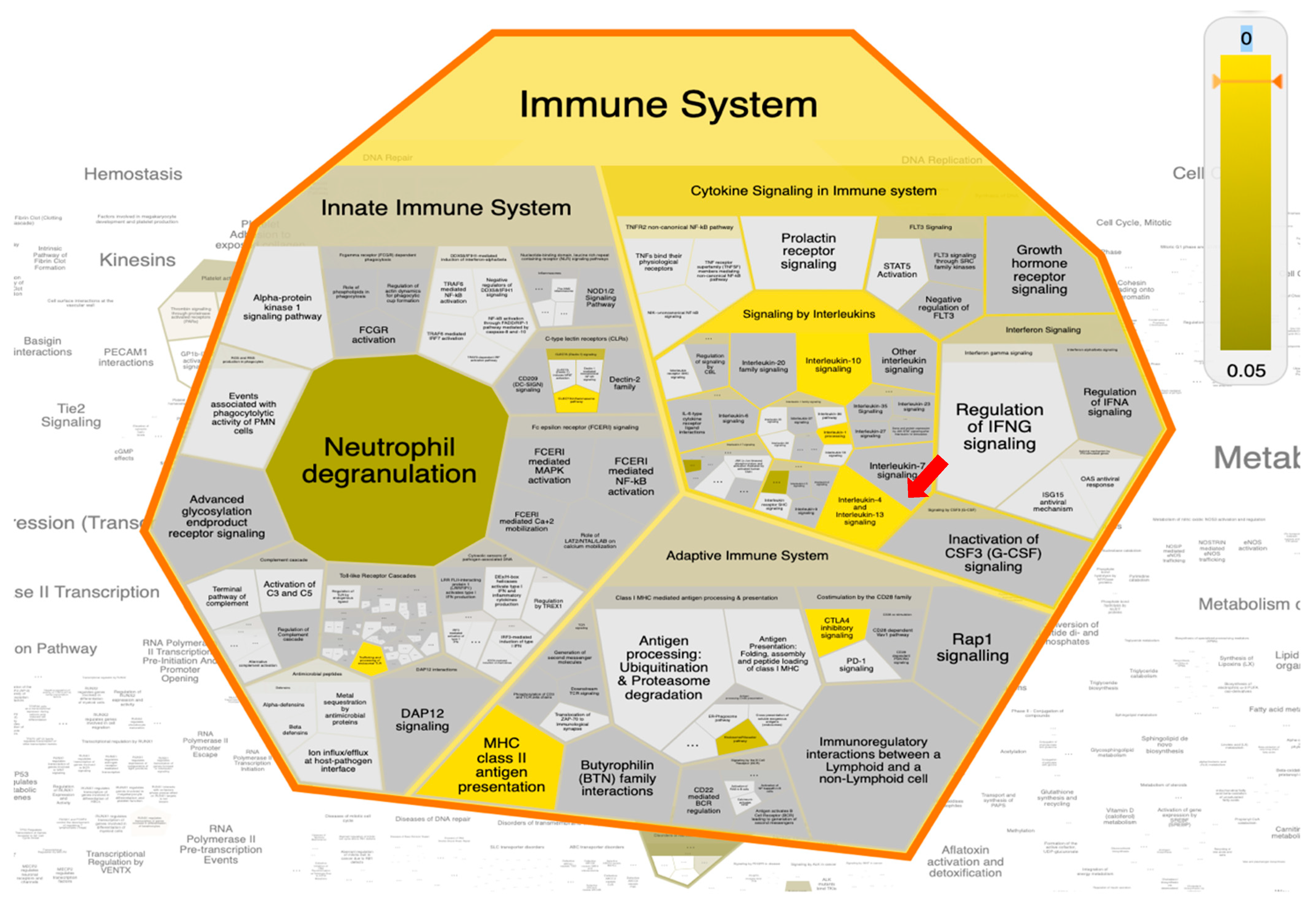 Pharmaceuticals 15 00153 g011