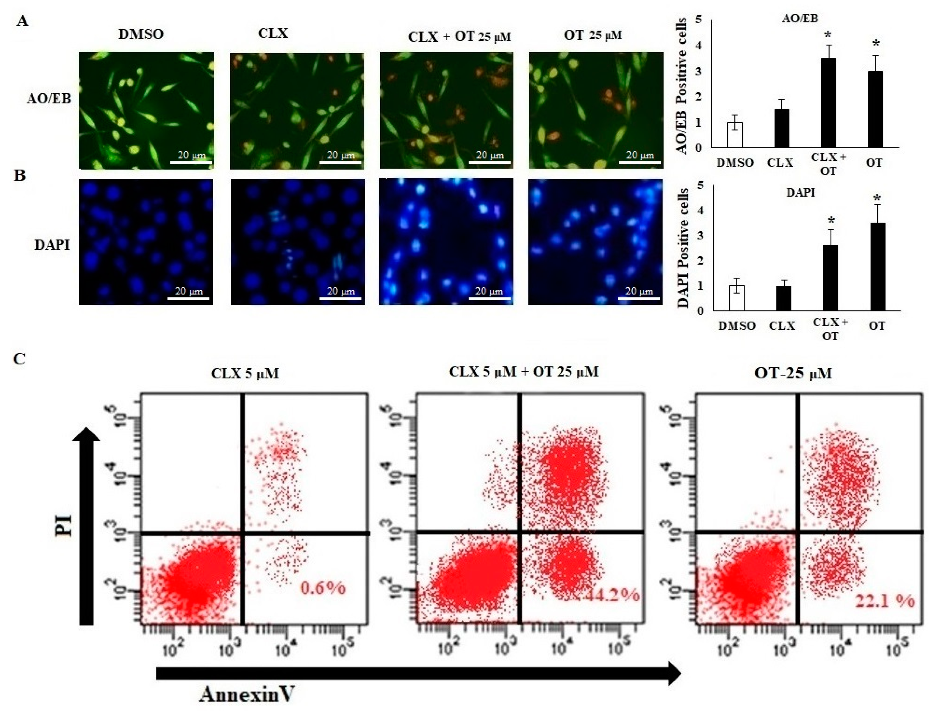 Pharmaceuticals 15 00154 g006