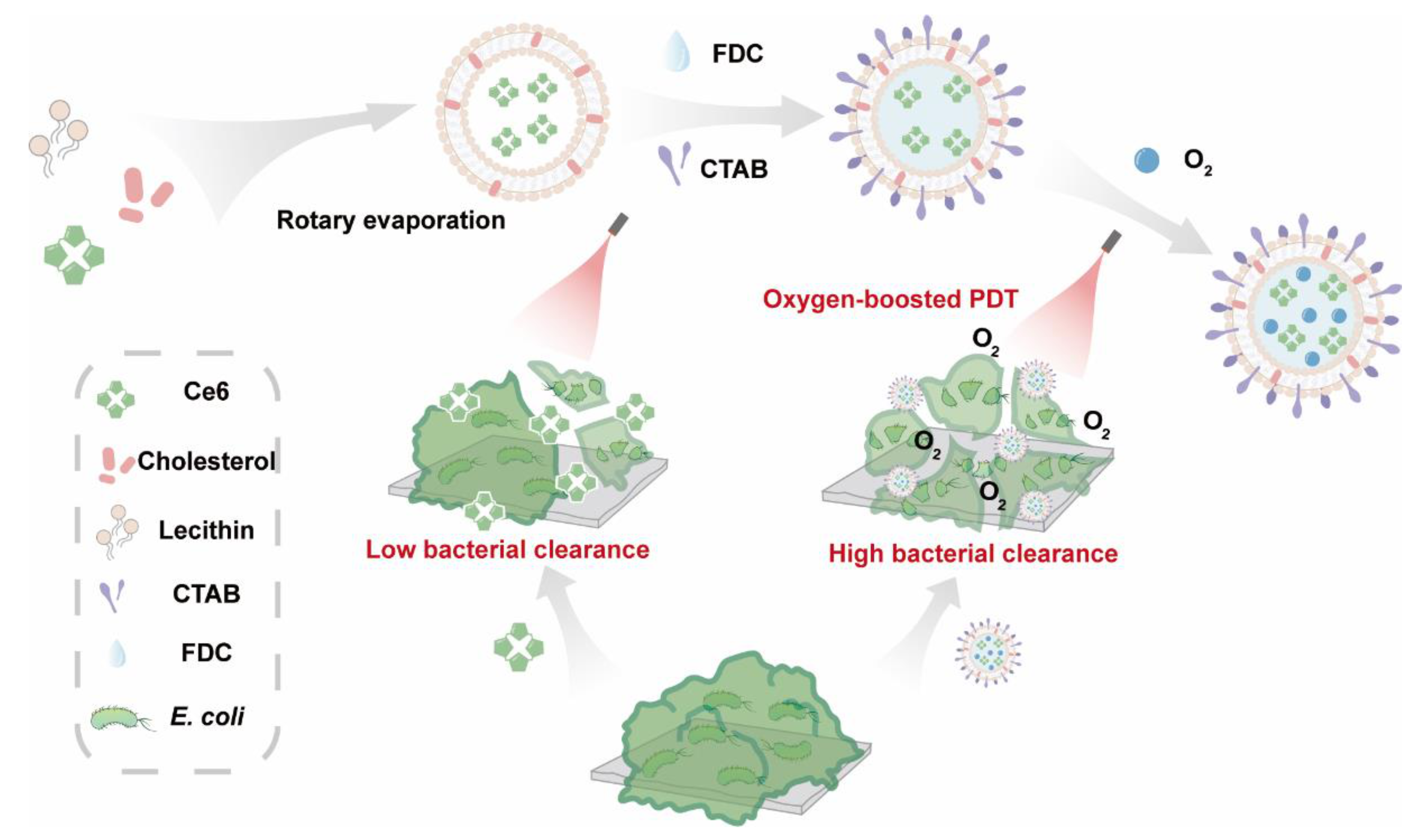 Pharmaceuticals 15 00156 g001