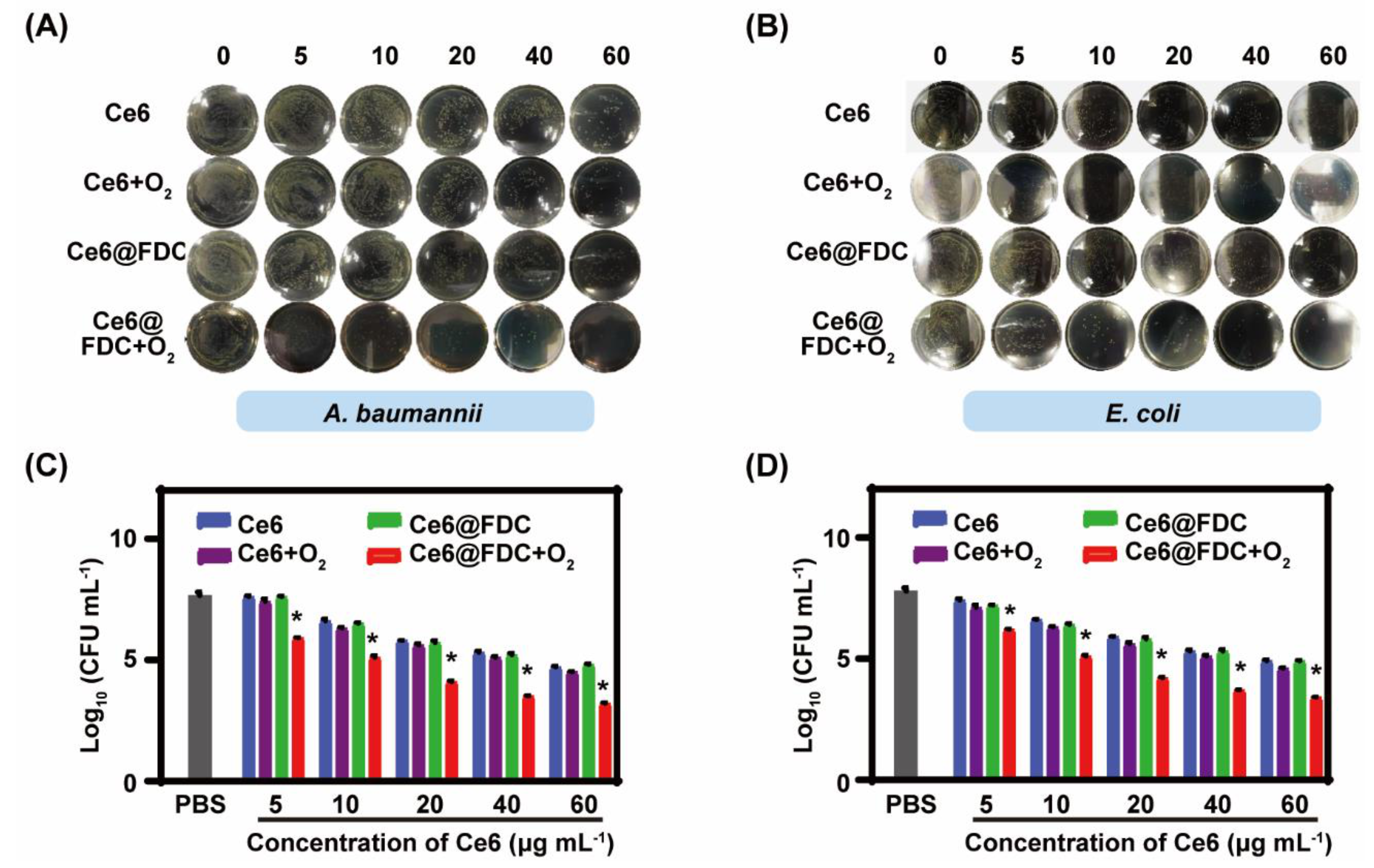 Pharmaceuticals 15 00156 g007