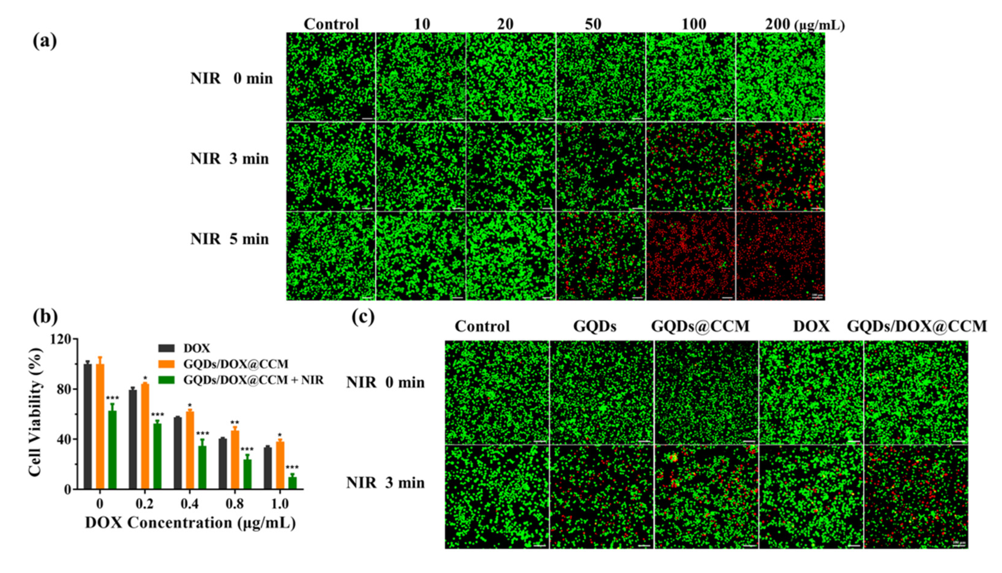 Pharmaceuticals 15 00157 g008
