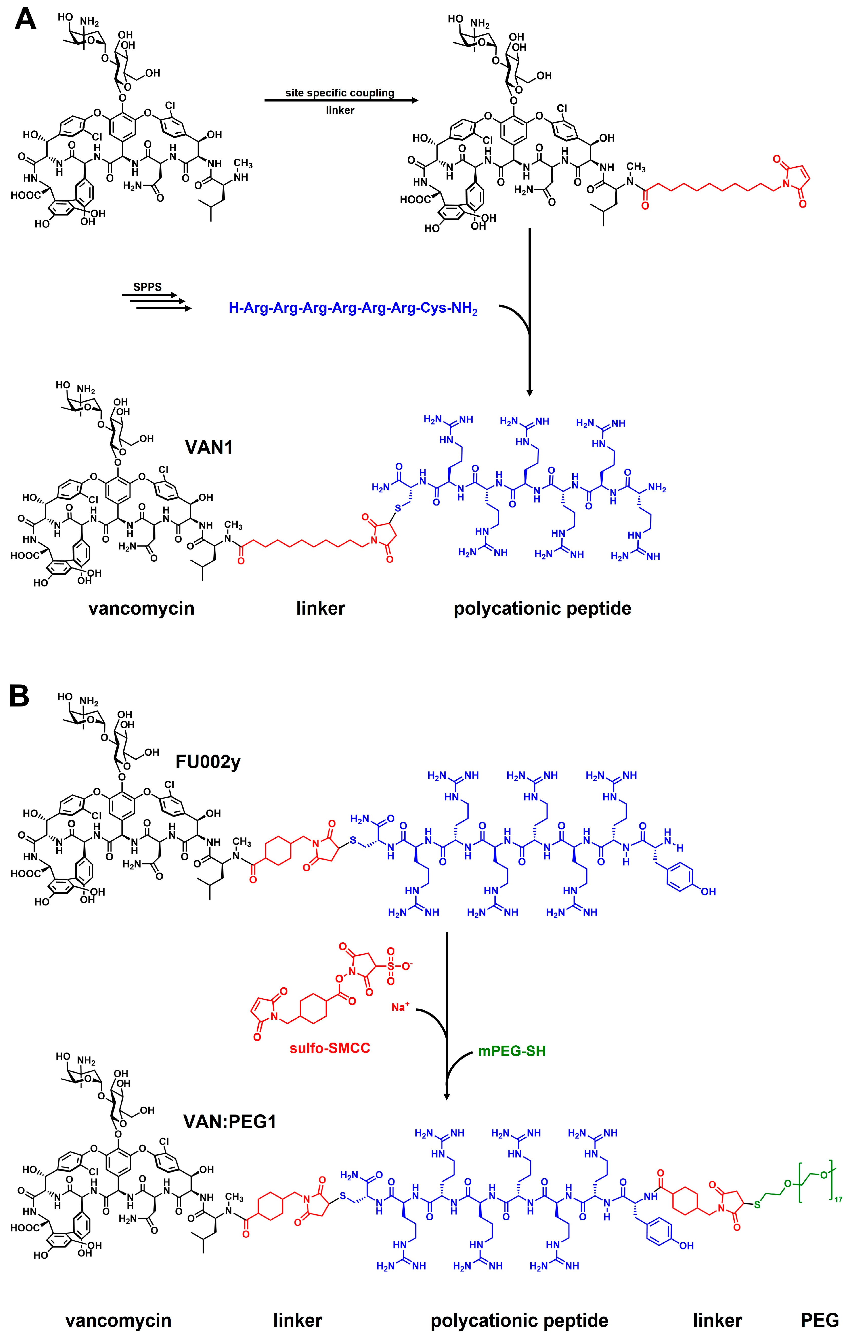 Pharmaceuticals 15 00159 g001 550