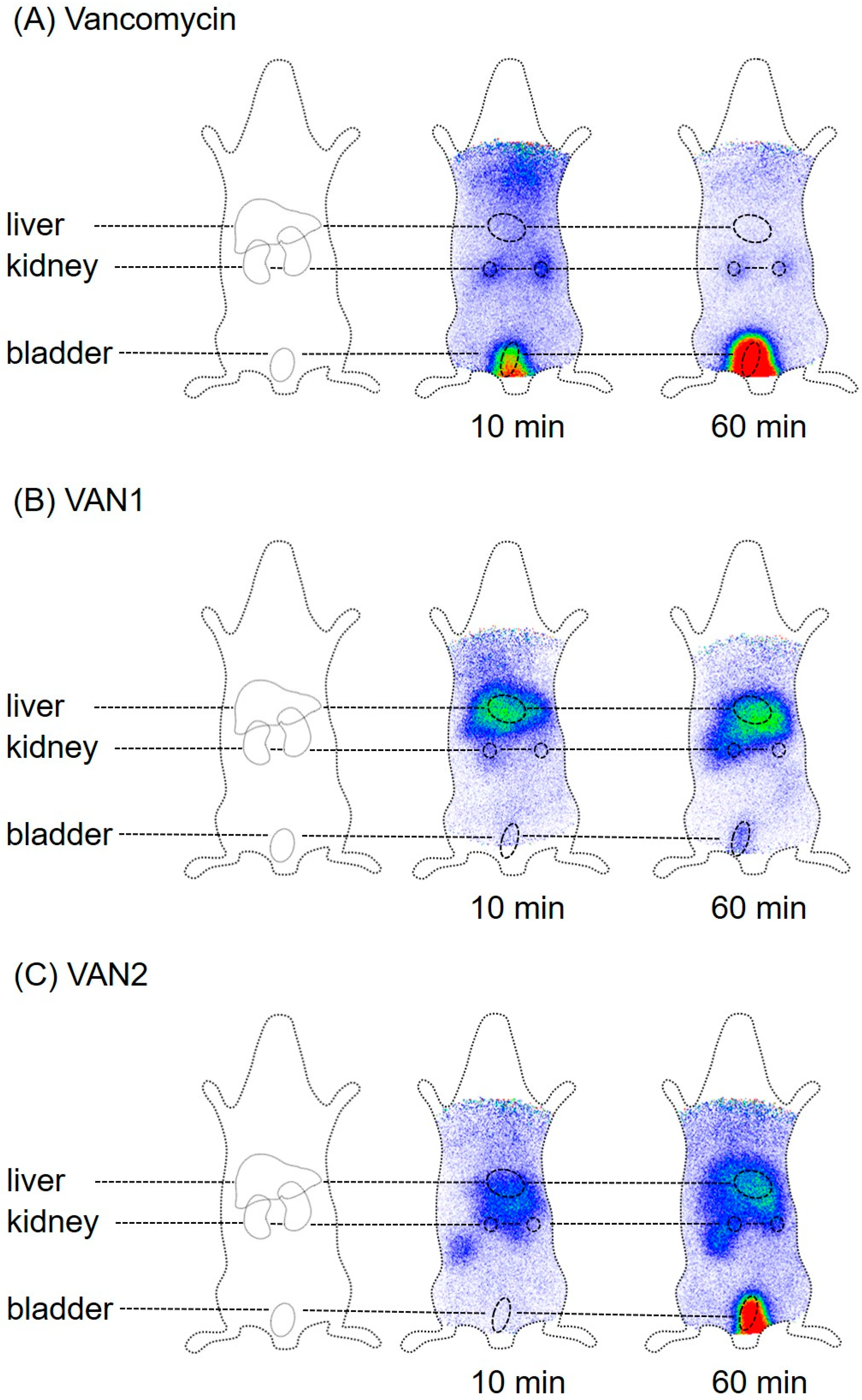 Pharmaceuticals 15 00159 g005 550
