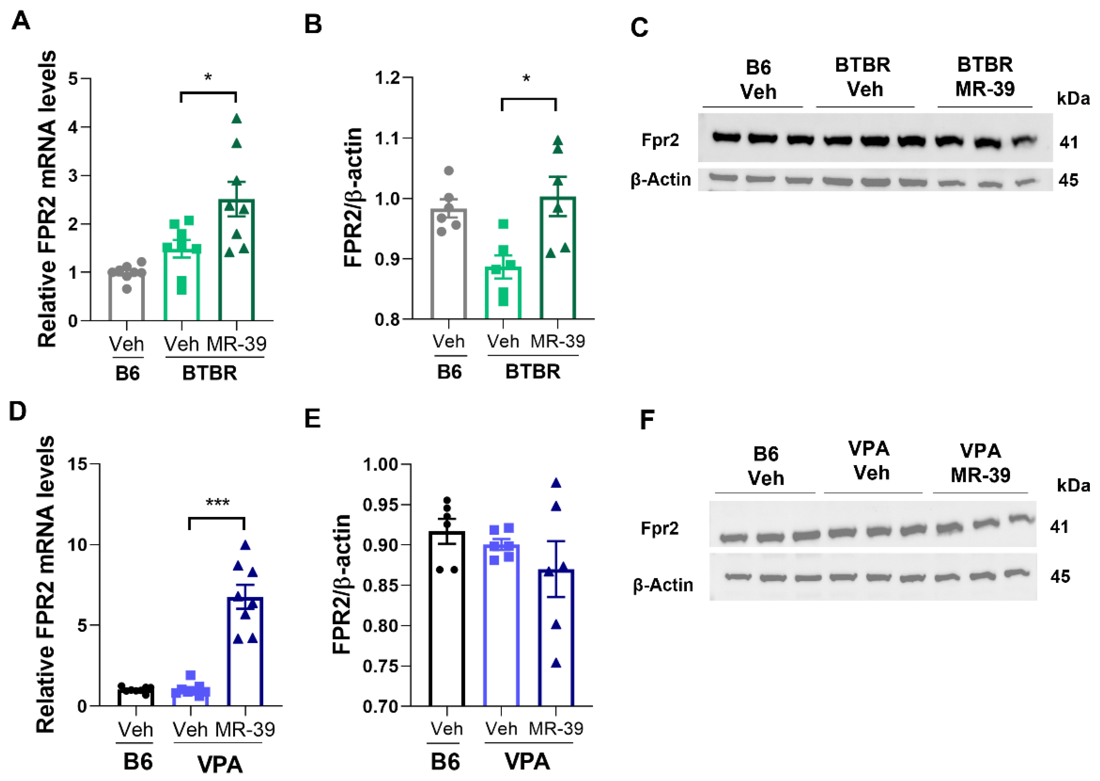 Pharmaceuticals 15 00161 g002