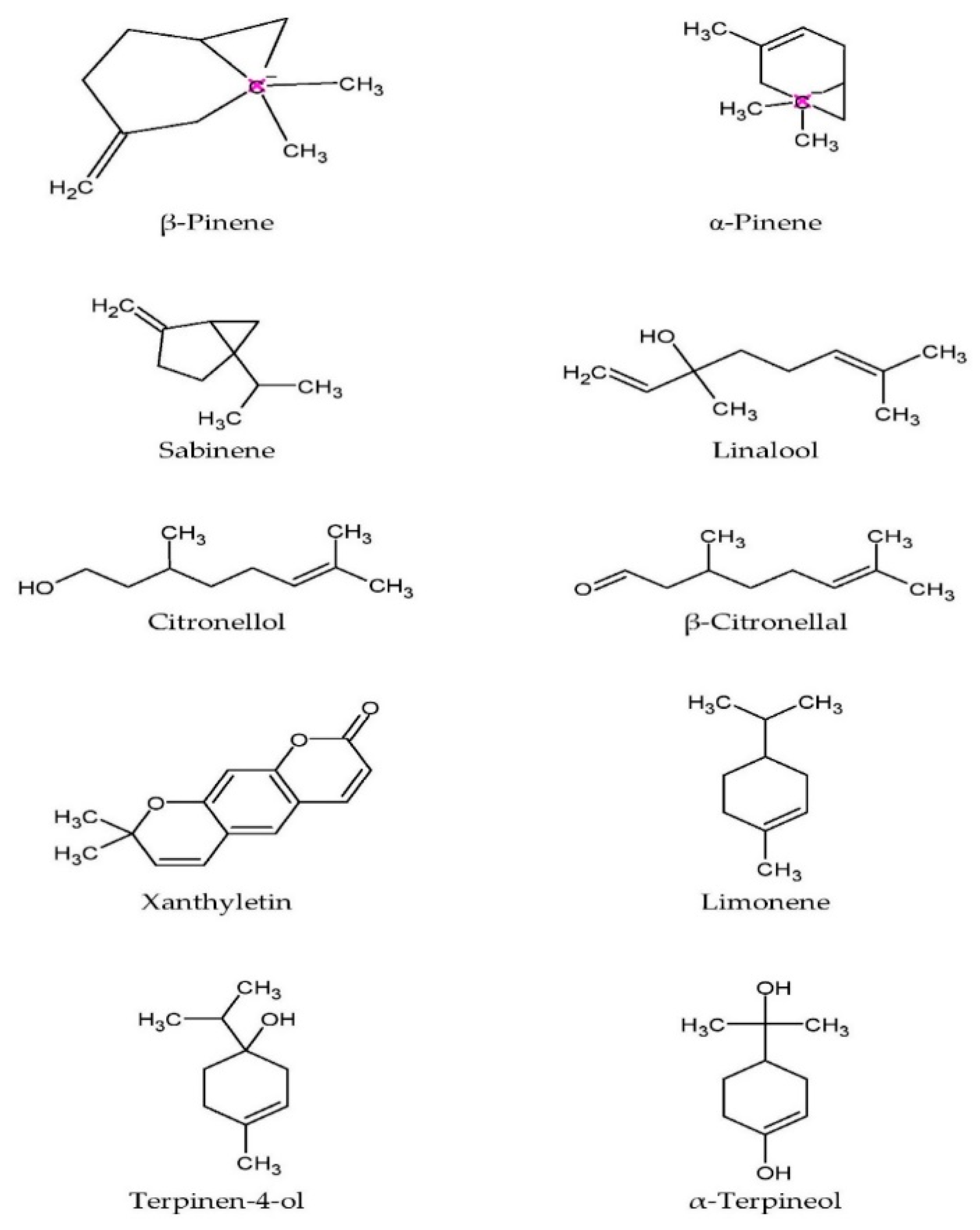 Pharmaceuticals 15 00167 g003
