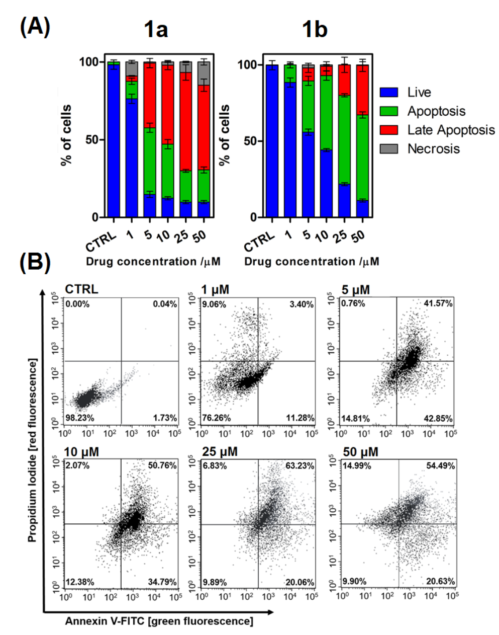 Pharmaceuticals 15 00169 g005