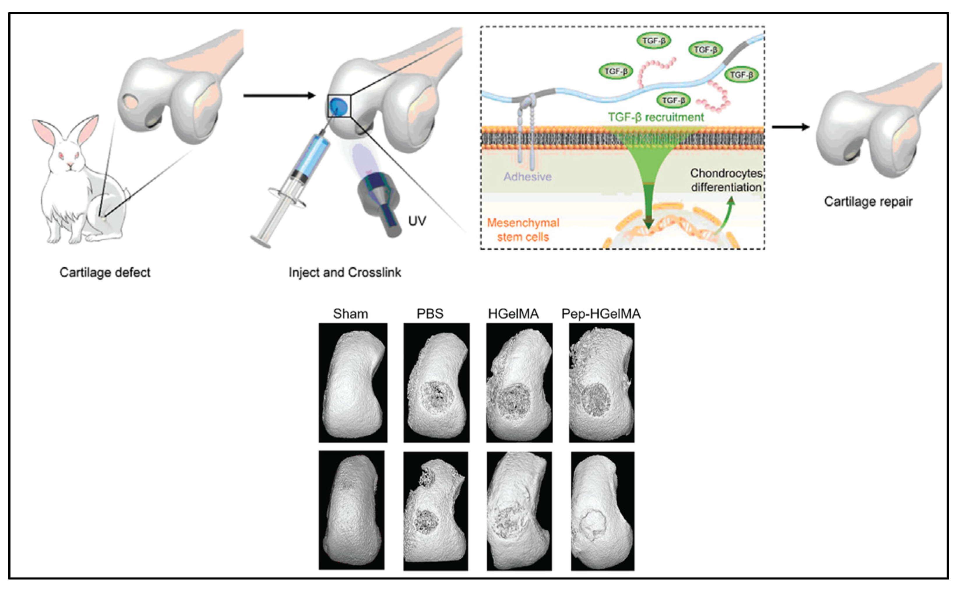 Pharmaceuticals 15 00171 g003 550