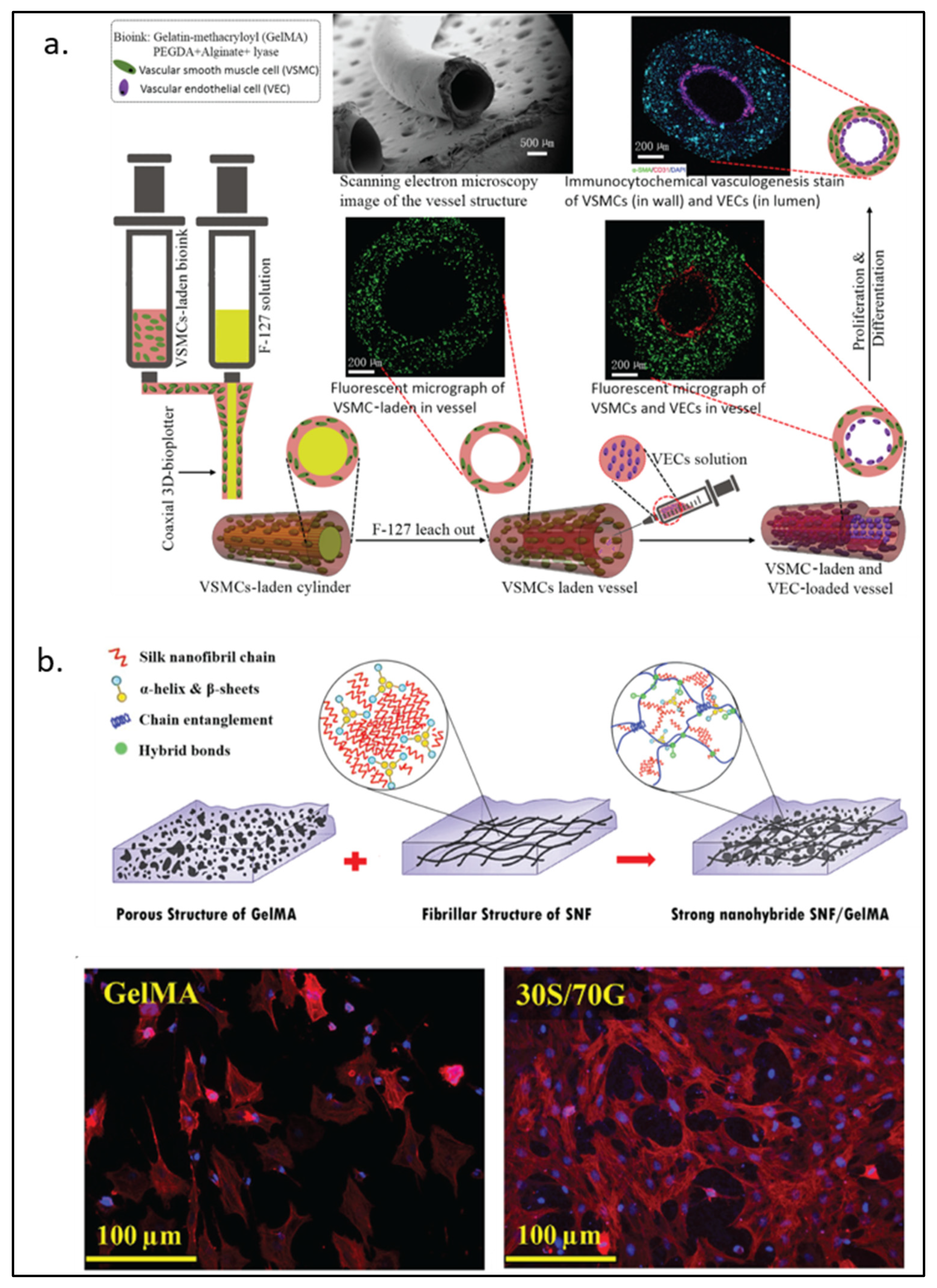 Pharmaceuticals 15 00171 g005 550