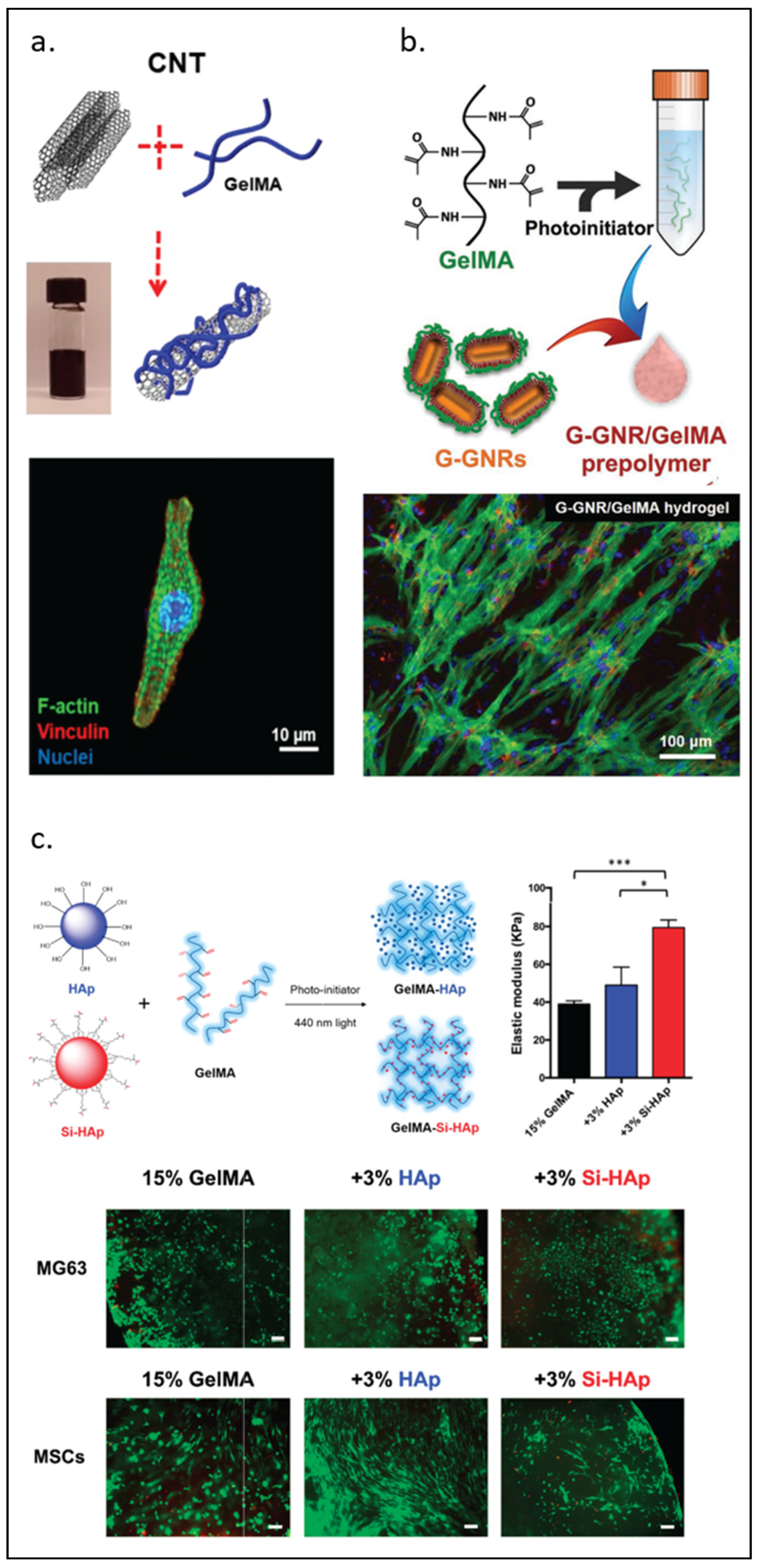 Pharmaceuticals 15 00171 g006 550