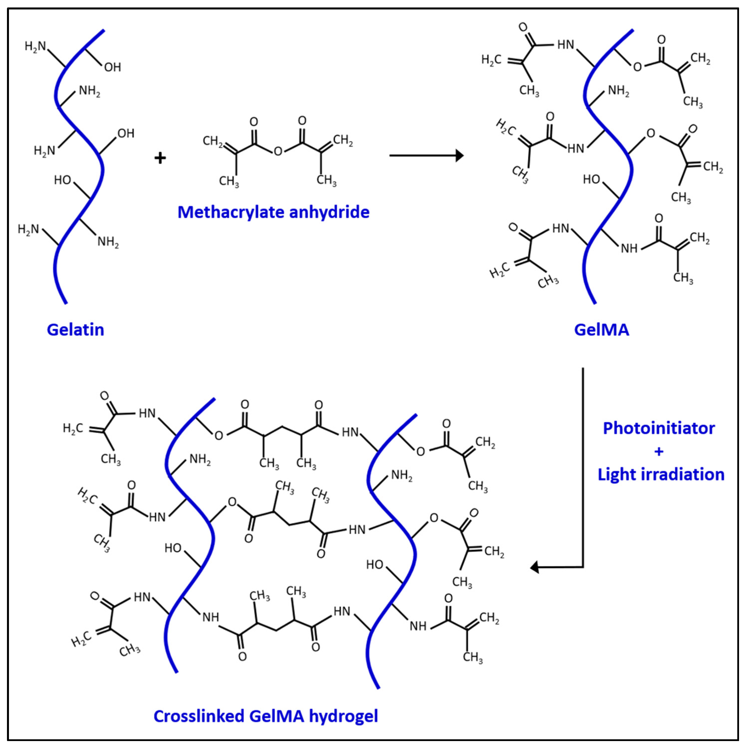 Pharmaceuticals 15 00171 sch001 550