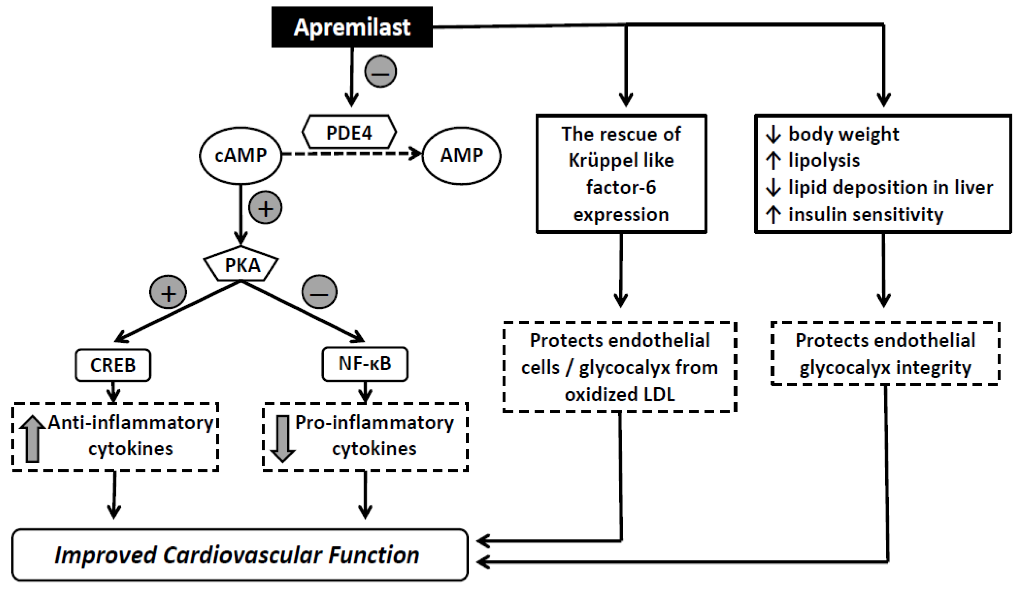 Pharmaceuticals 15 00172 g002
