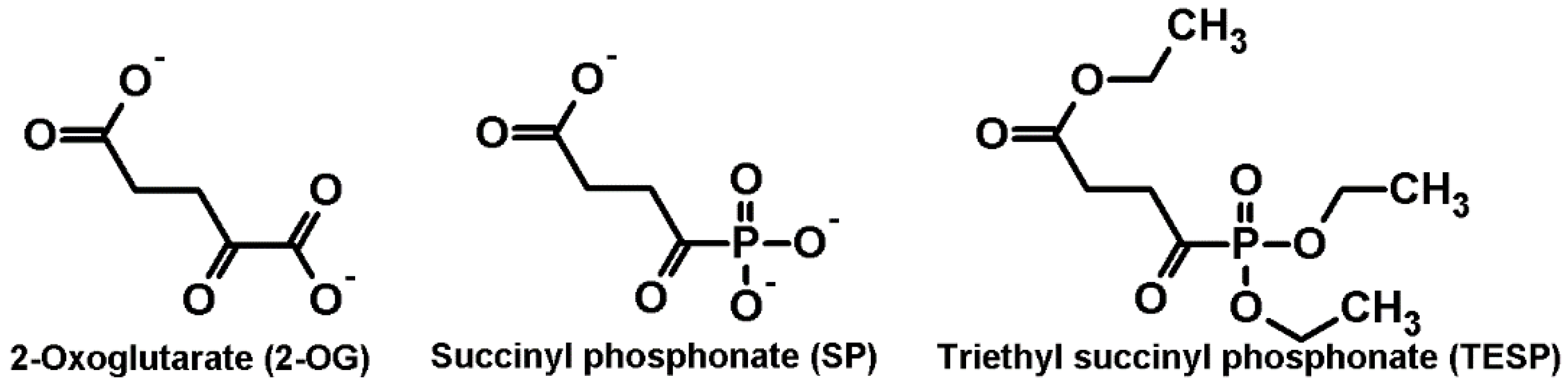 Pharmaceuticals 15 00182 g001 Pharmaceuticals 15 00182 g001