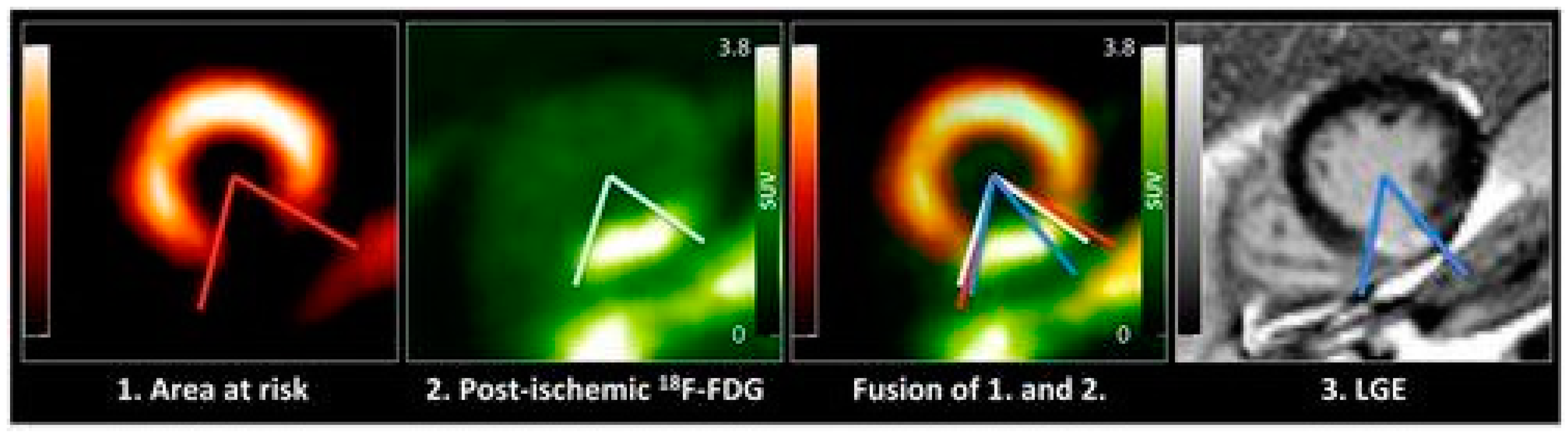 Pharmaceuticals 15 00183 g001