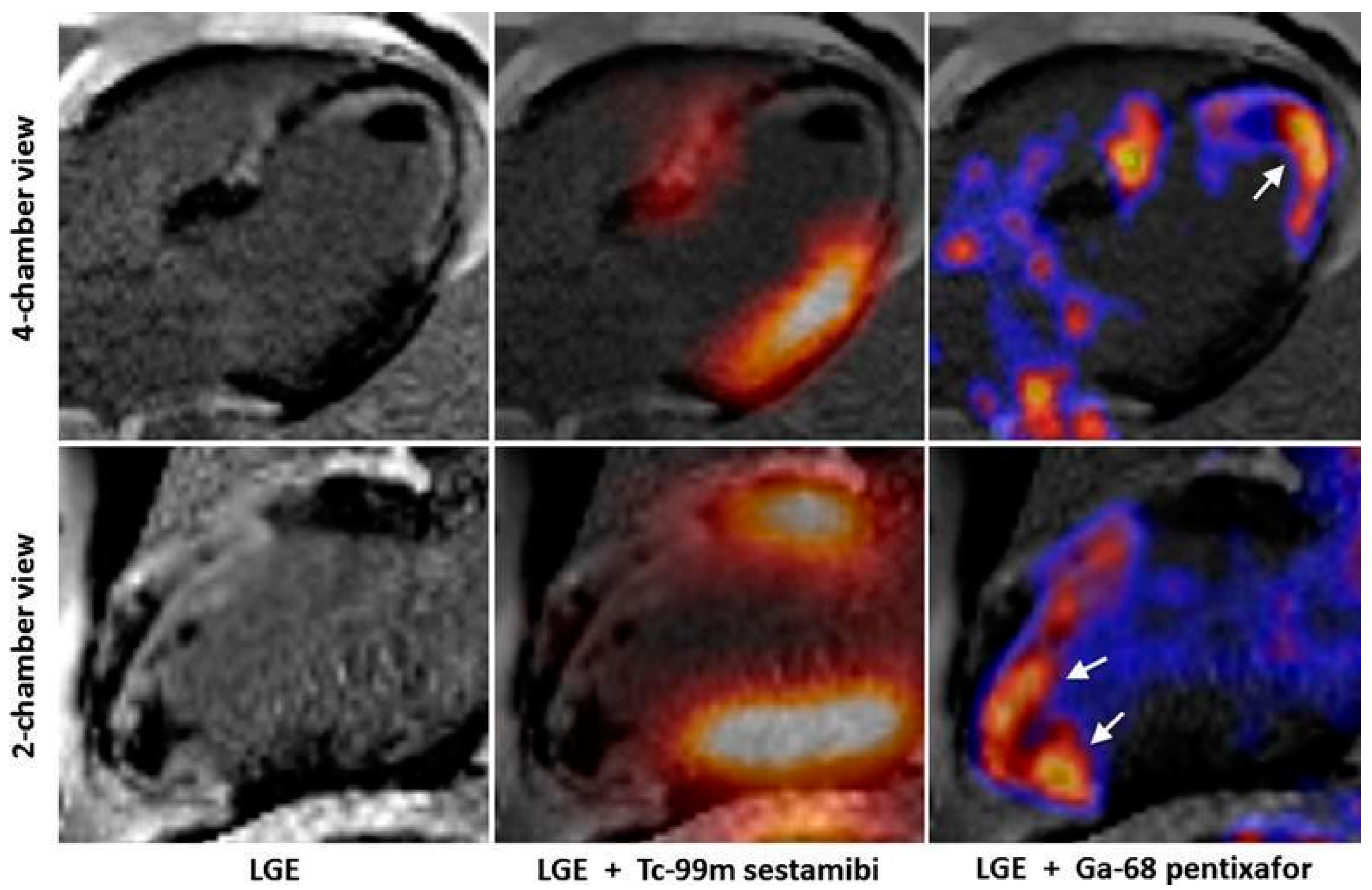 Pharmaceuticals 15 00183 g002