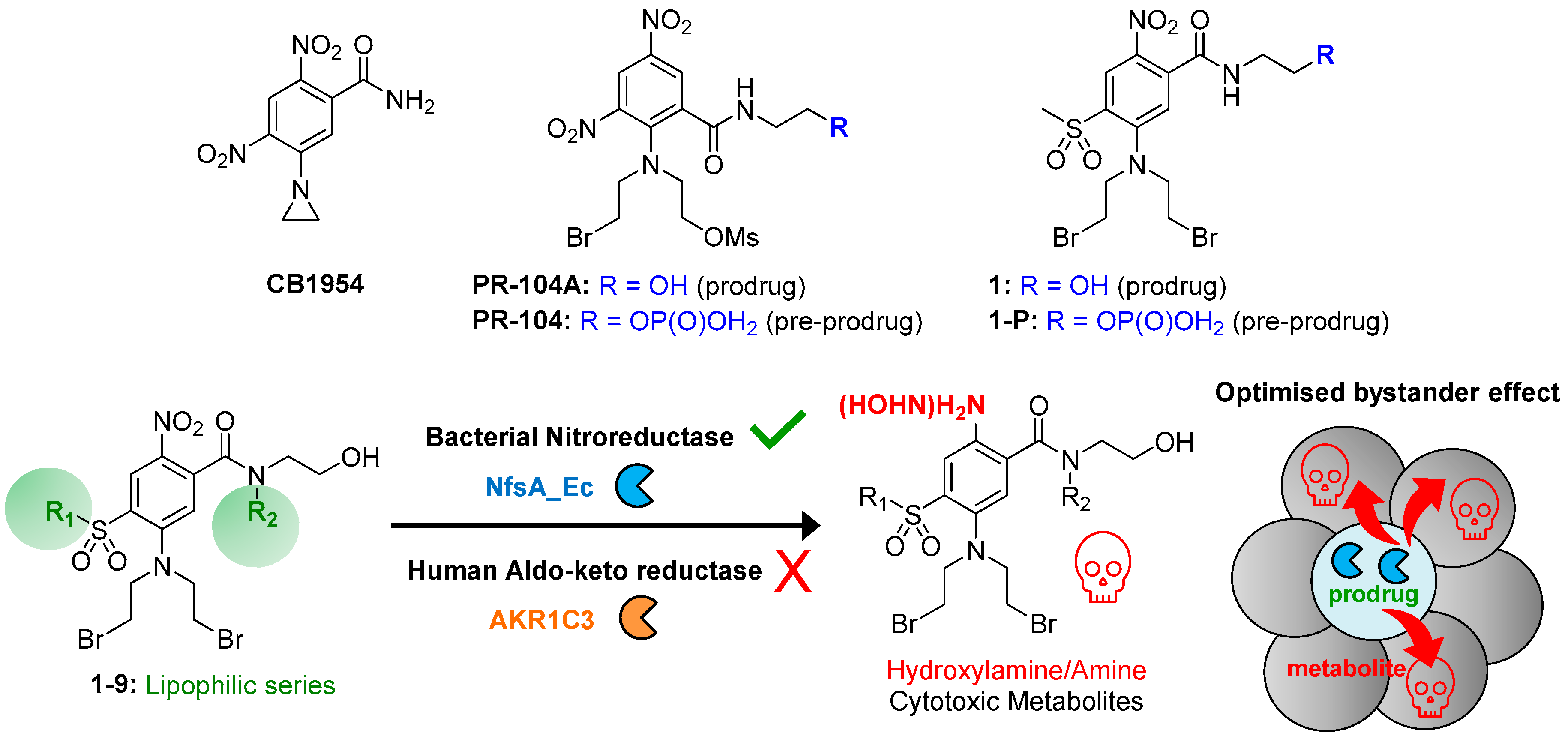 Pharmaceuticals 15 00185 g001