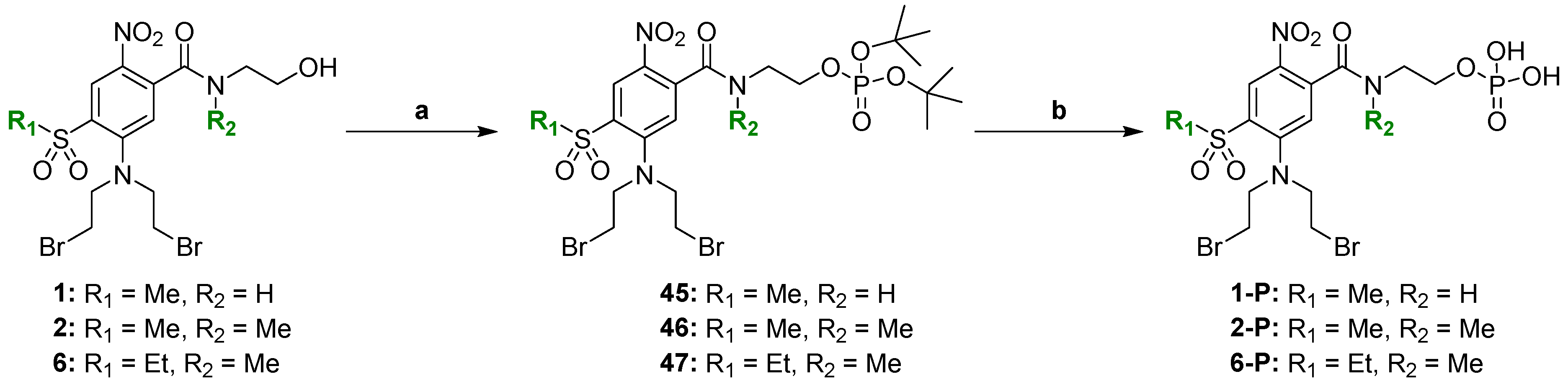Pharmaceuticals 15 00185 sch002