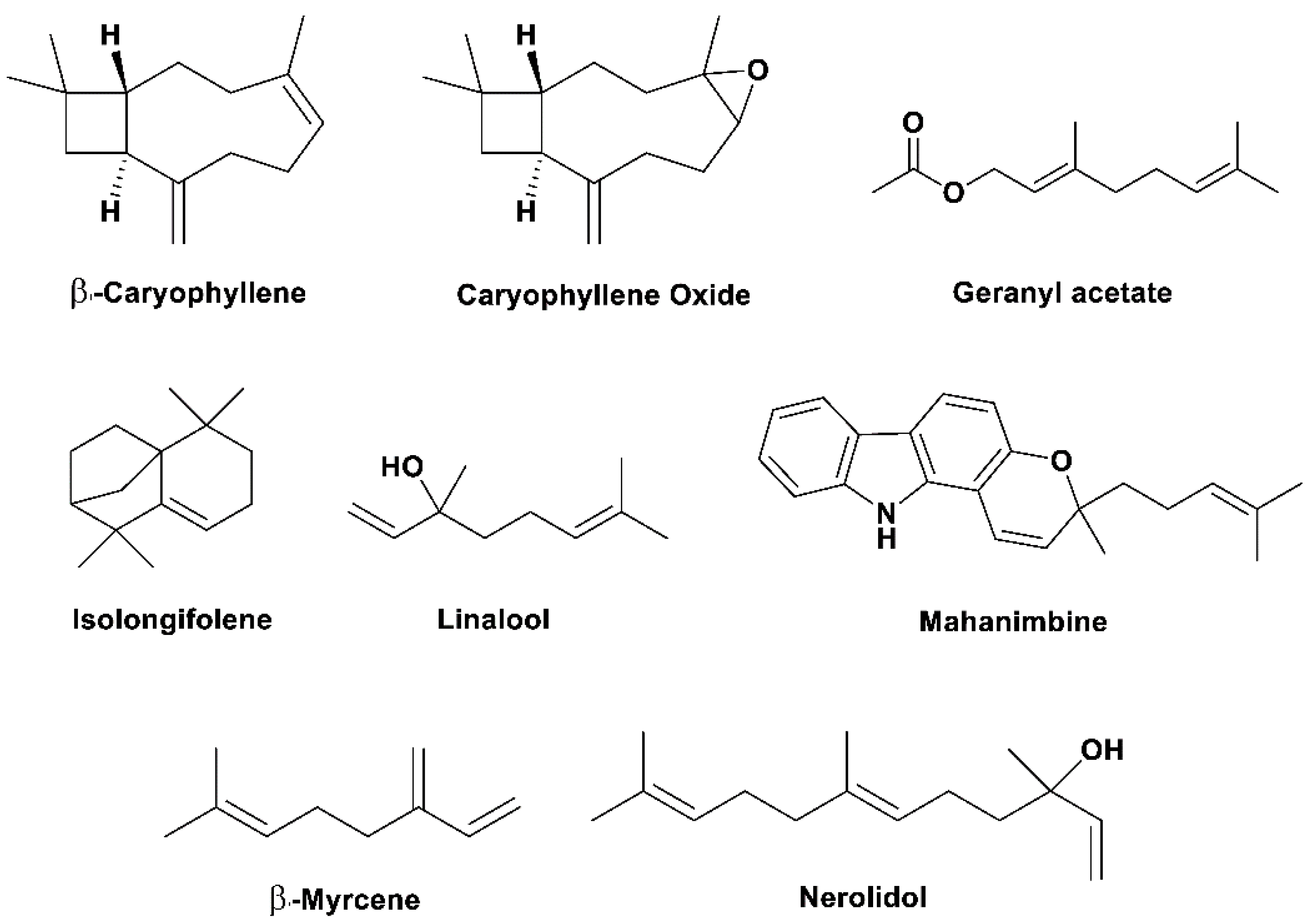 Pharmaceuticals 15 00188 g001