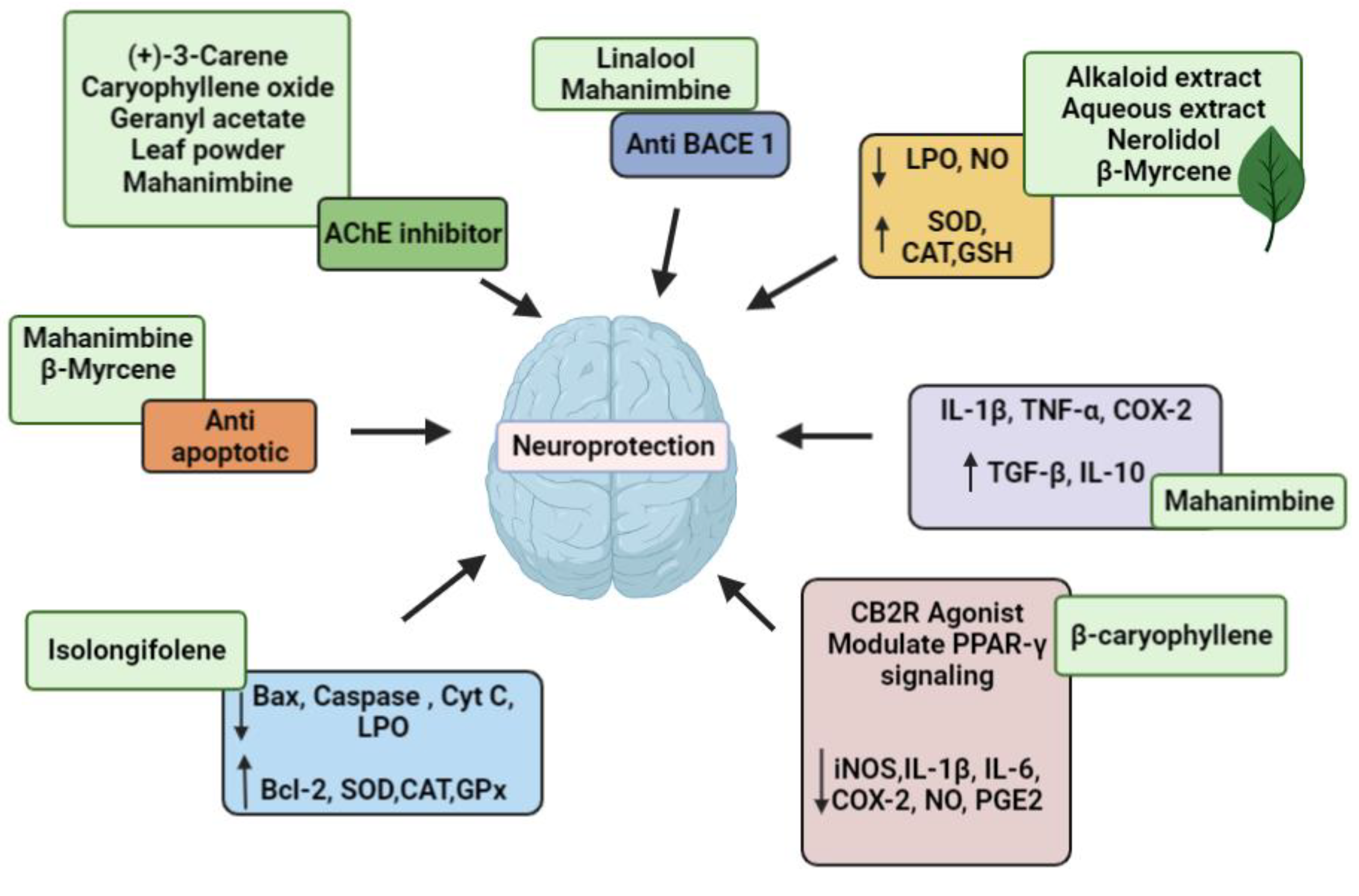 Pharmaceuticals 15 00188 g002