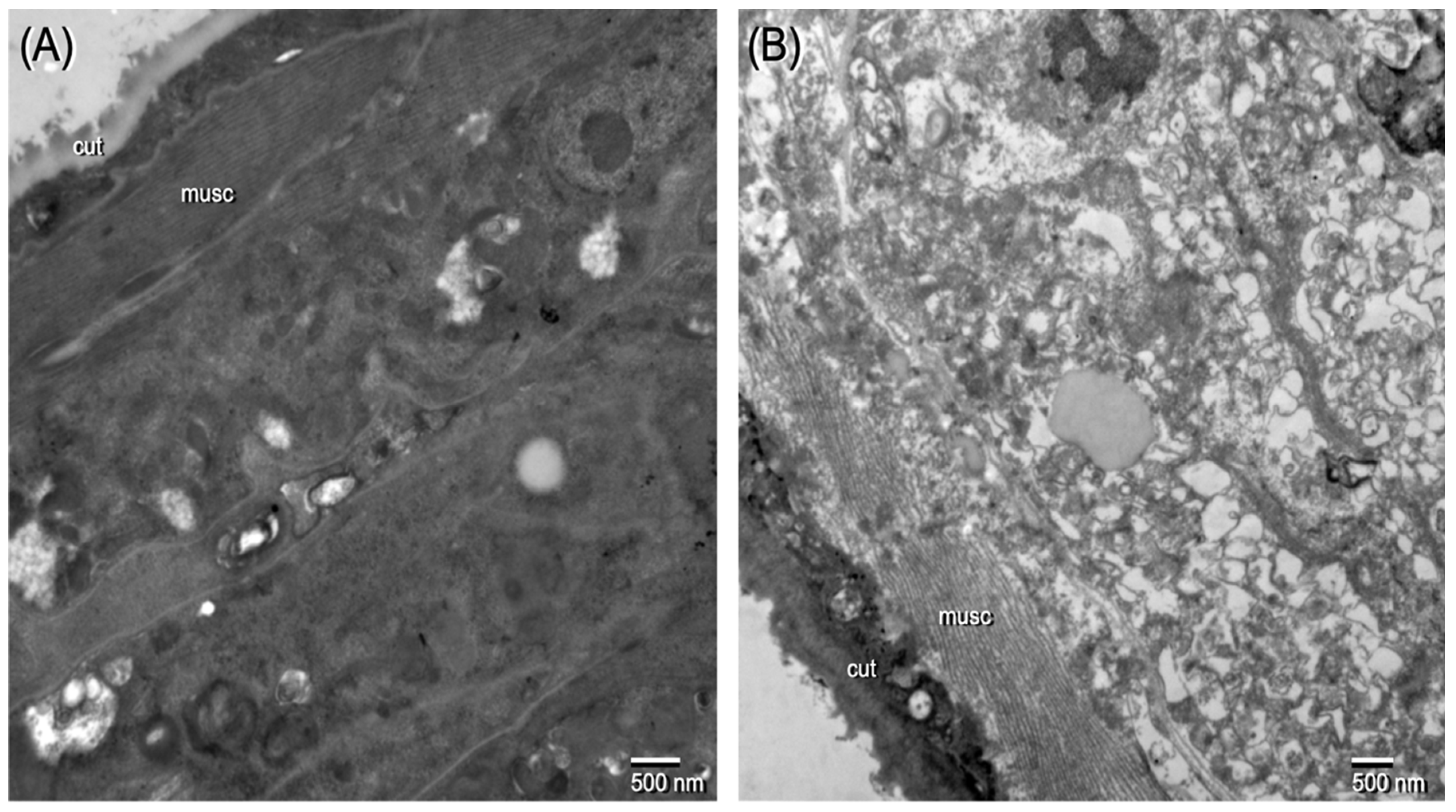 Pharmaceuticals 15 00189 g003