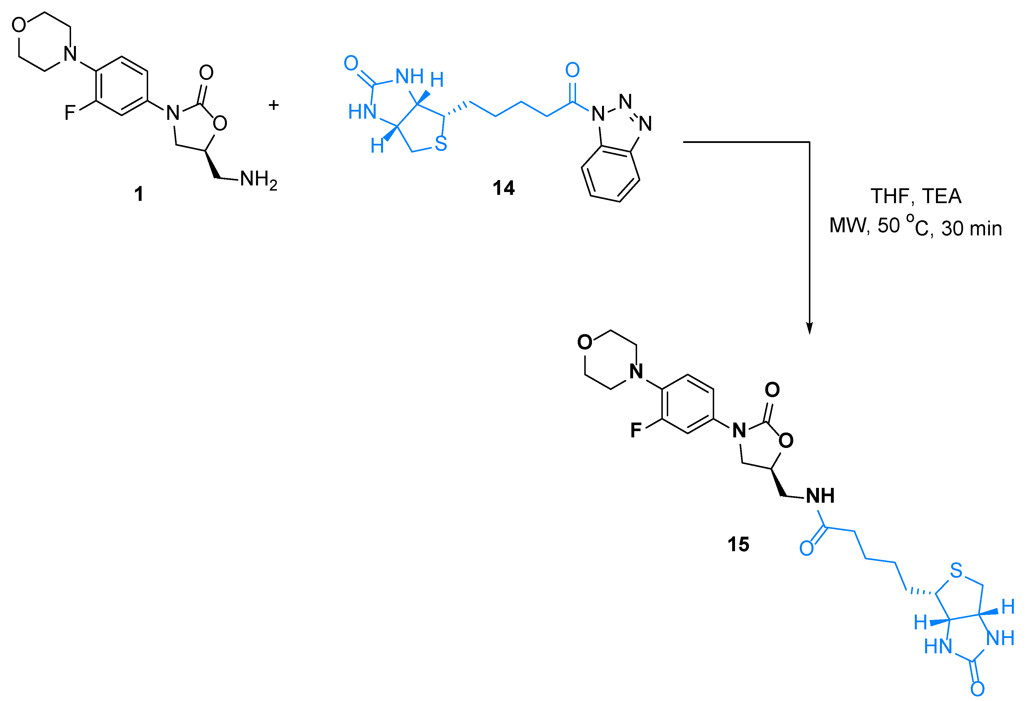 Pharmaceuticals 15 00191 sch007 Pharmaceuticals 15 00191 sch007