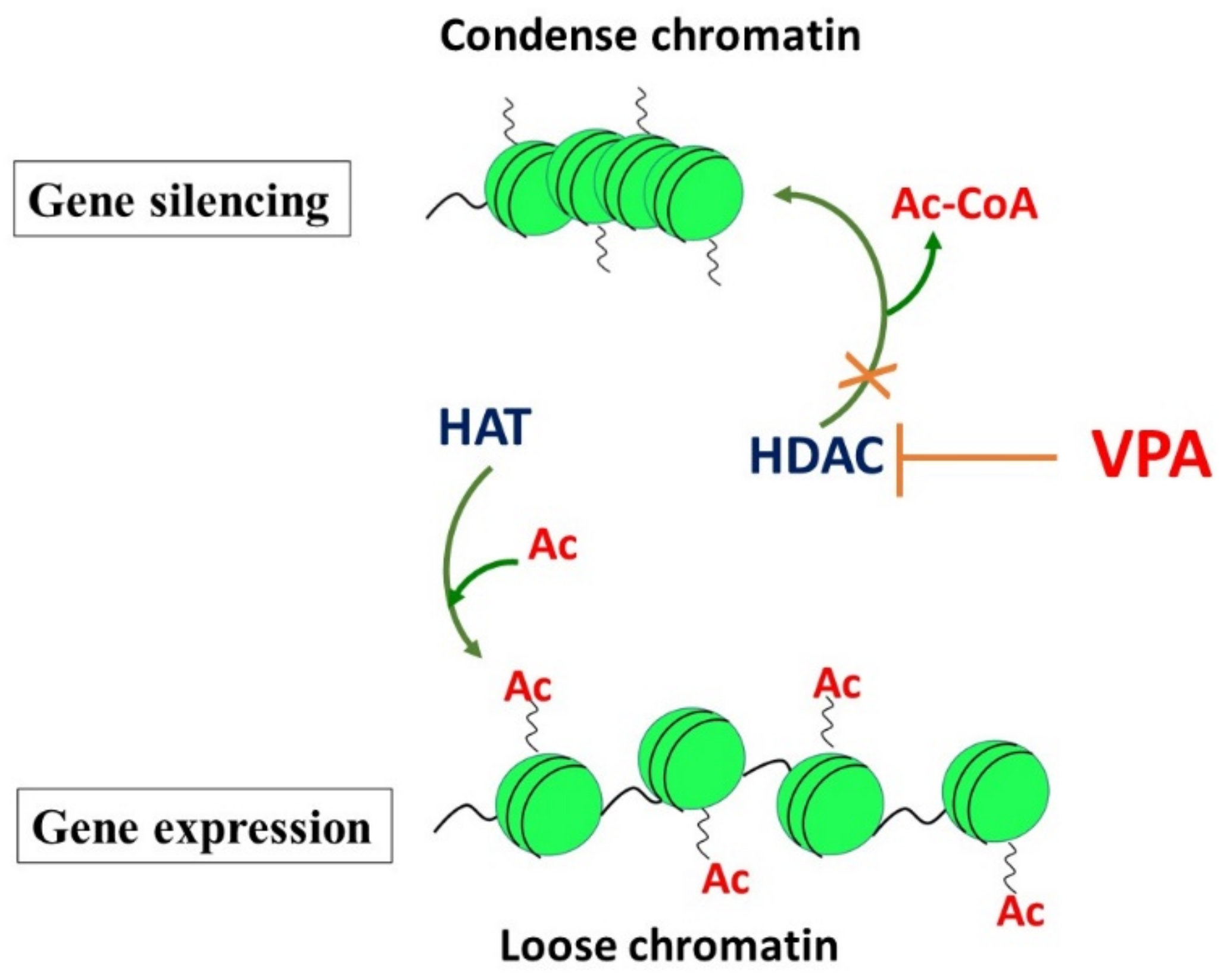 Pharmaceuticals 15 00192 g002 Pharmaceuticals 15 00192 g002