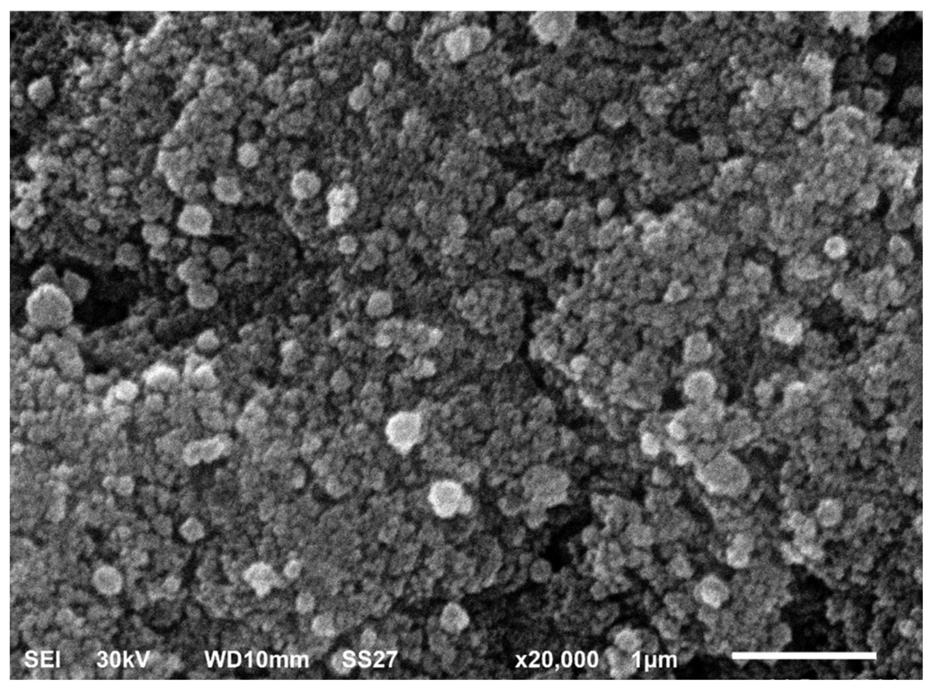 Pharmaceuticals 15 00194 g007