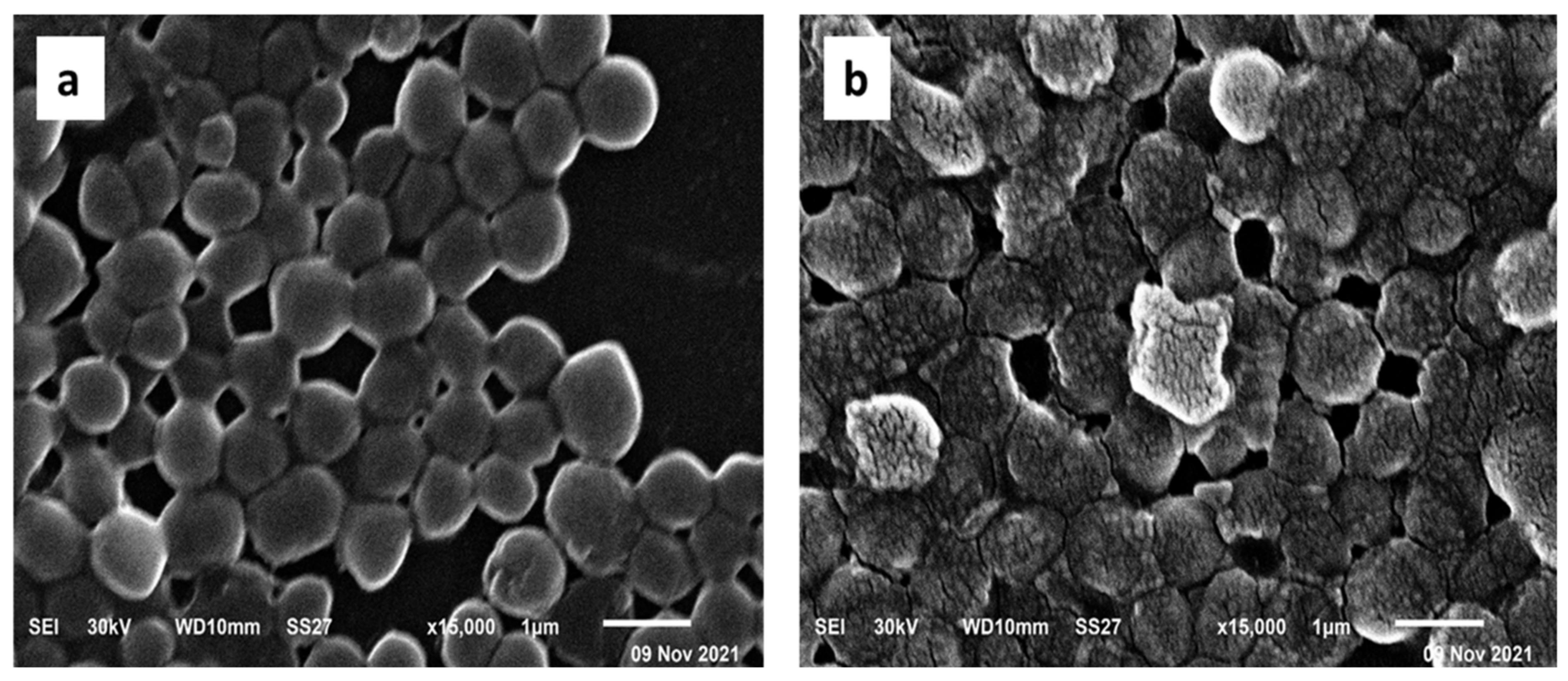 Pharmaceuticals 15 00194 g011
