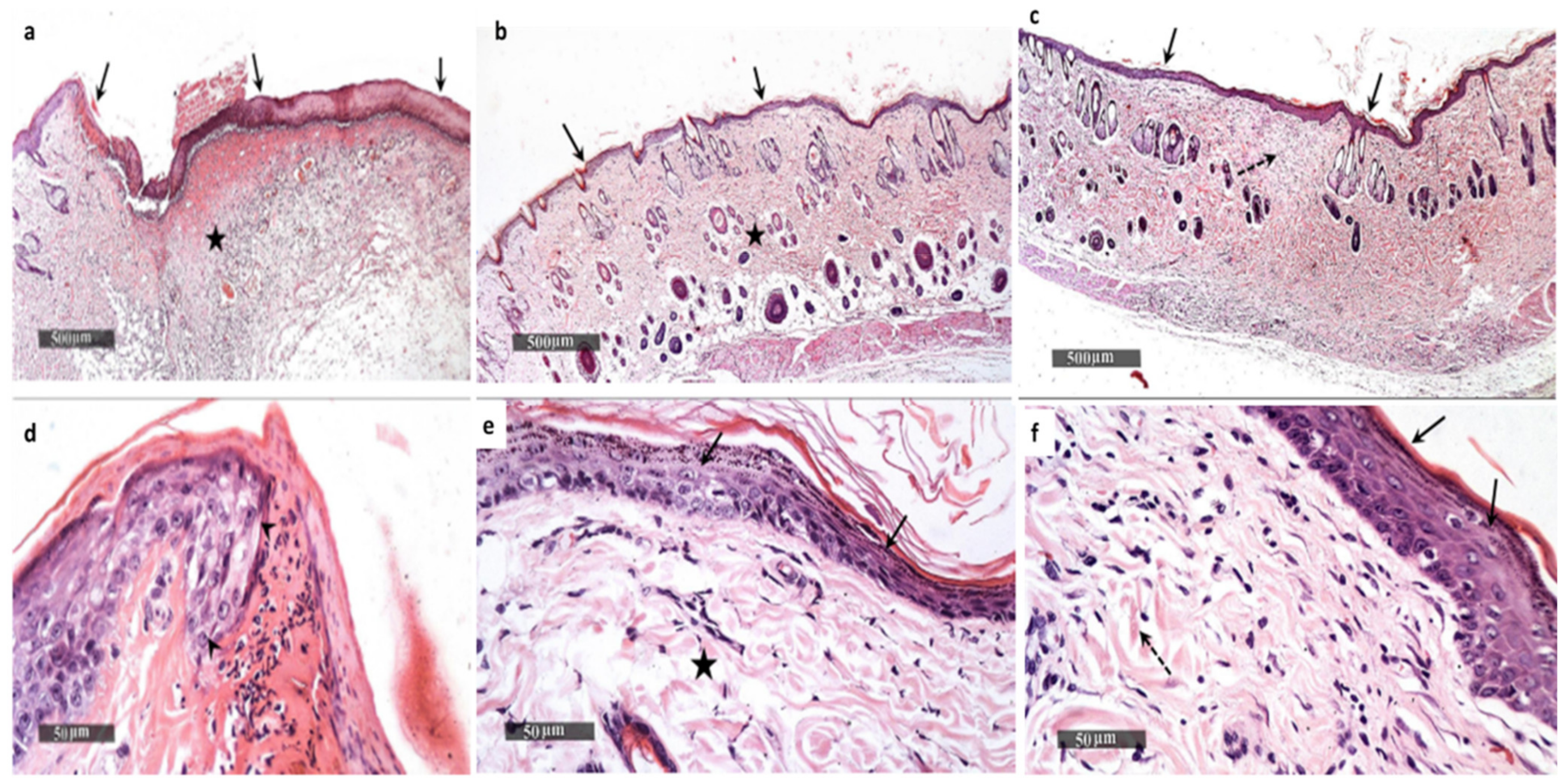 Pharmaceuticals 15 00194 g015