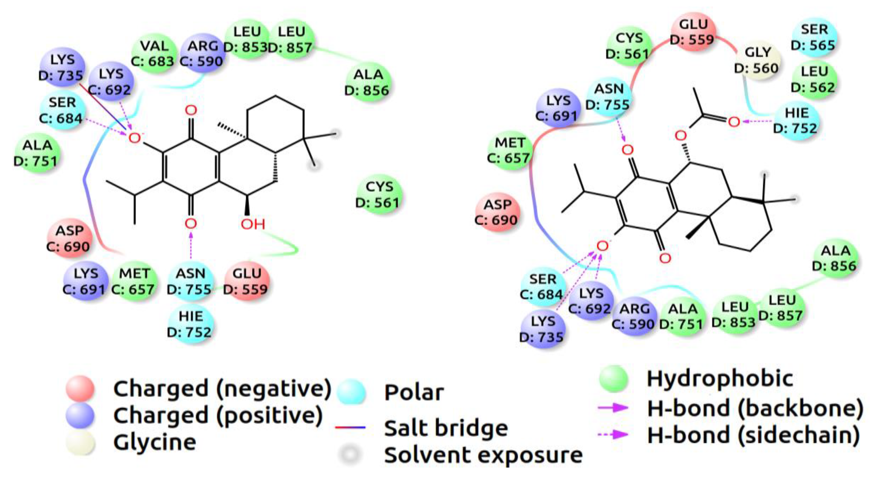 Pharmaceuticals 15 00198 g002 550