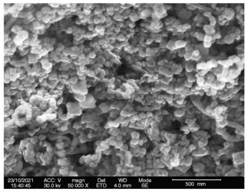 Pharmaceuticals 15 00216 g004