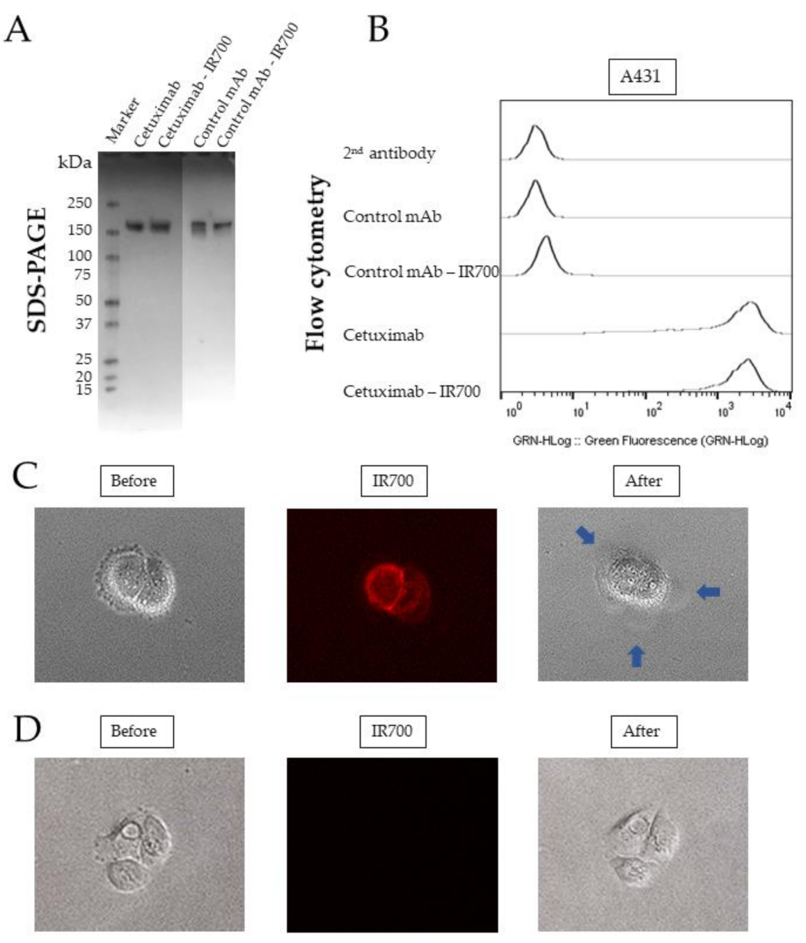 Pharmaceuticals 15 00223 g001