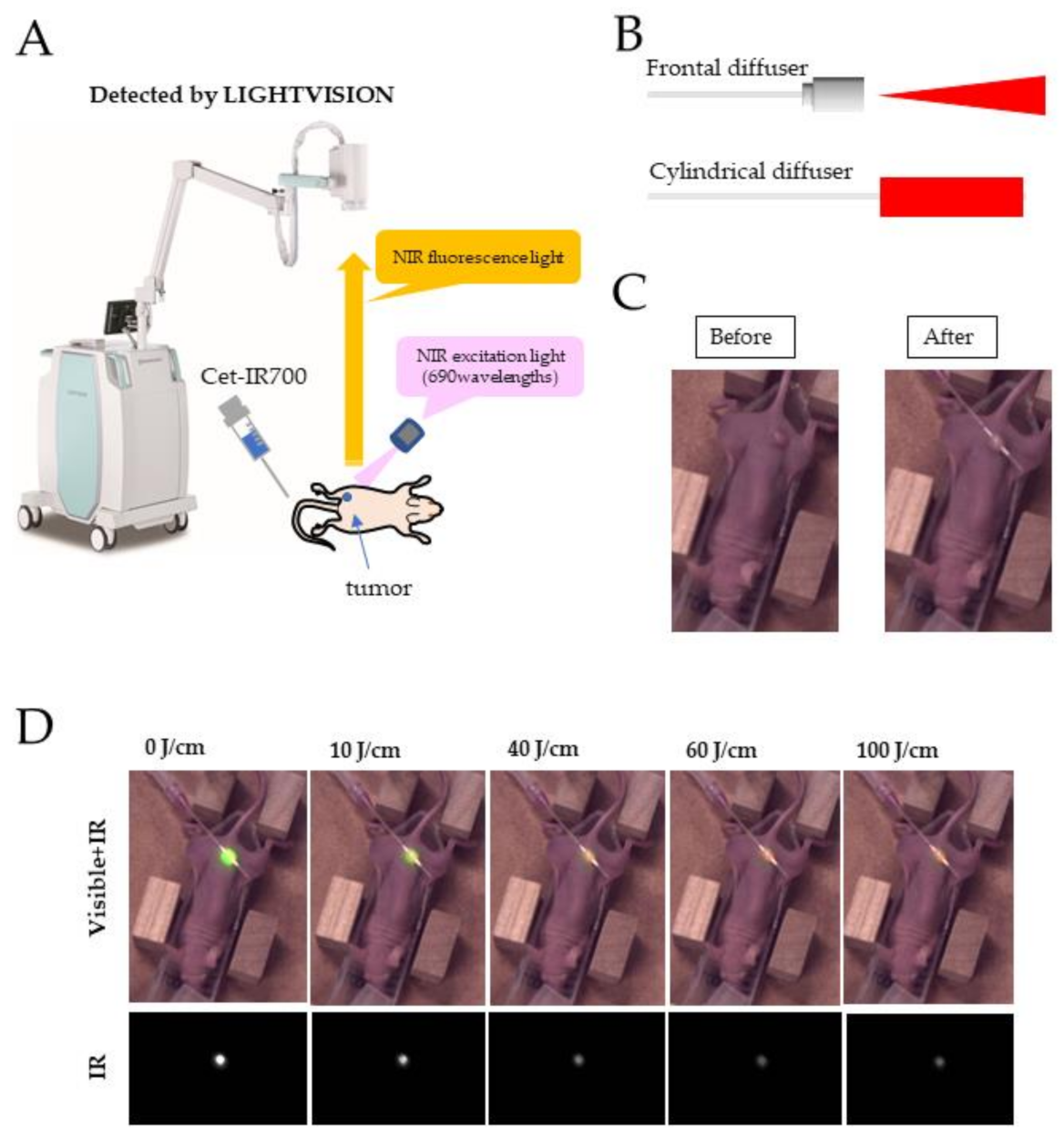Pharmaceuticals 15 00223 g002