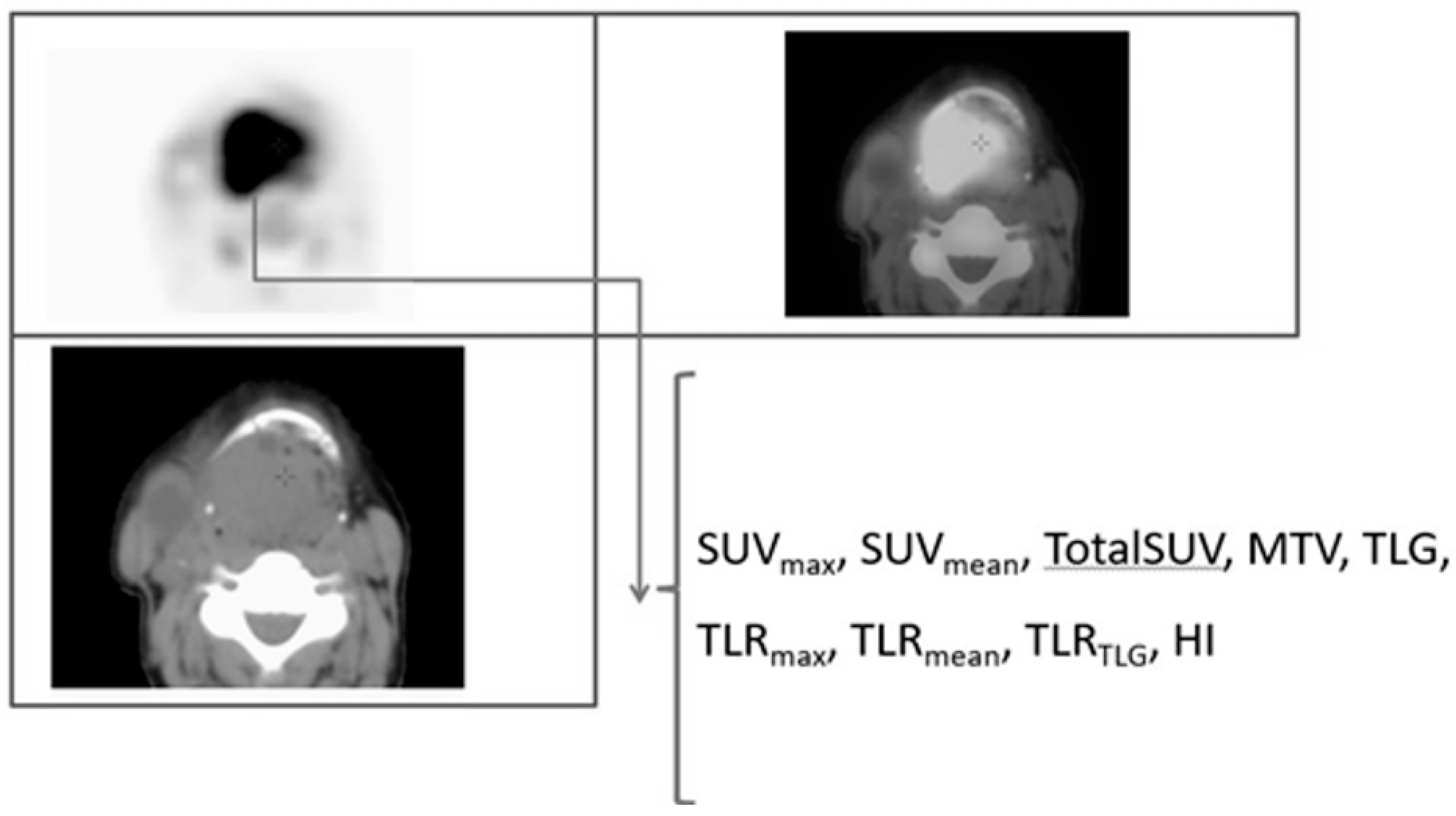 Pharmaceuticals 15 00224 g003 Pharmaceuticals 15 00224 g003